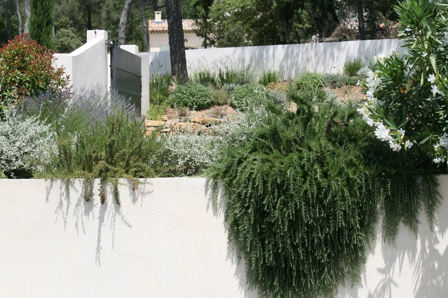 Domaine les salamandres