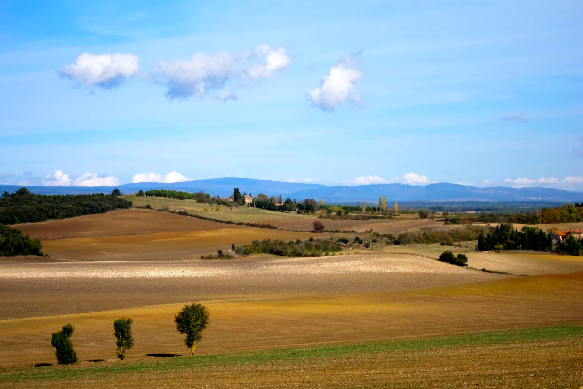 Domaine de la Bade - Gîte Minervois