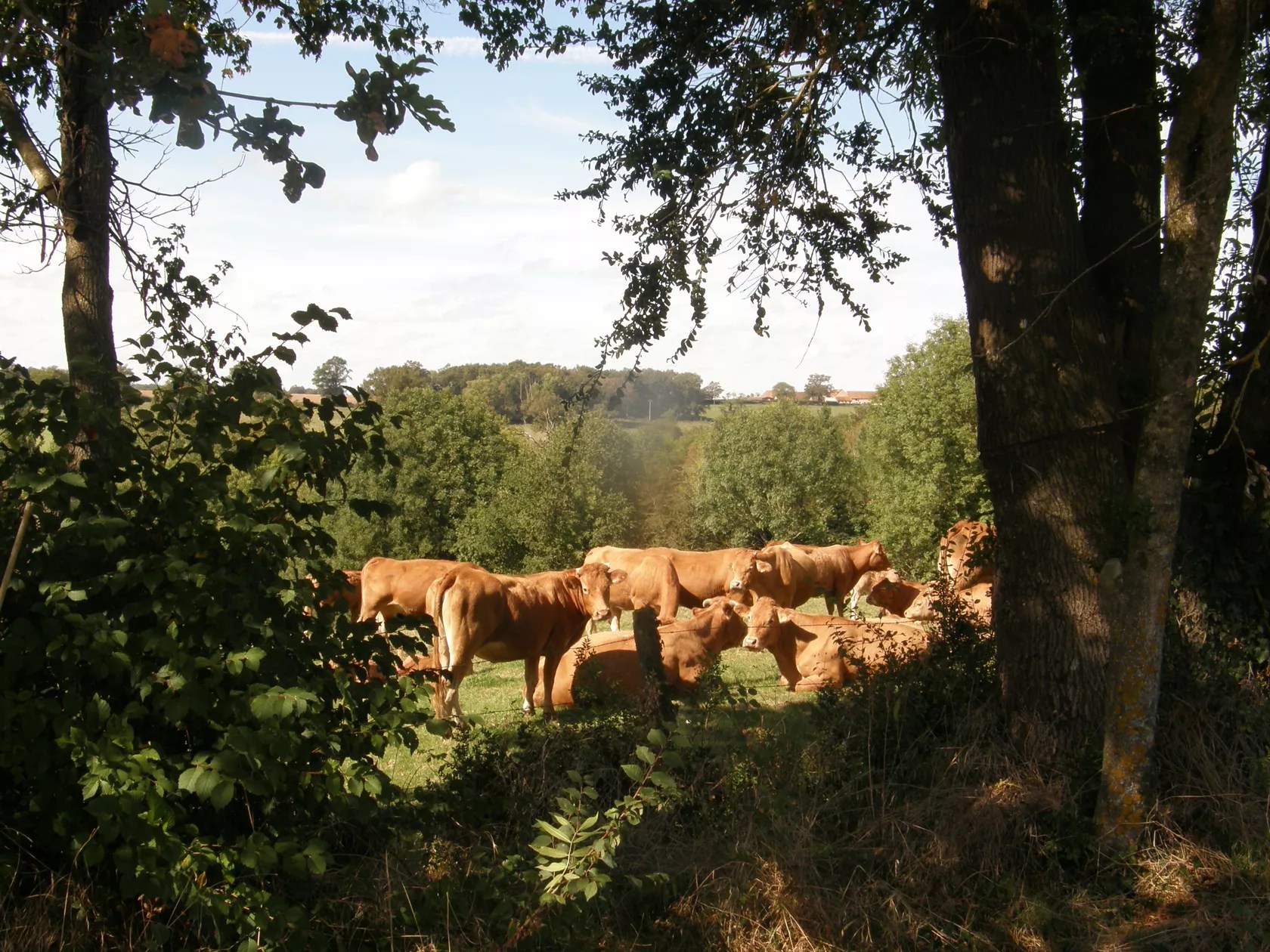 Gite La belle vue de La Roche