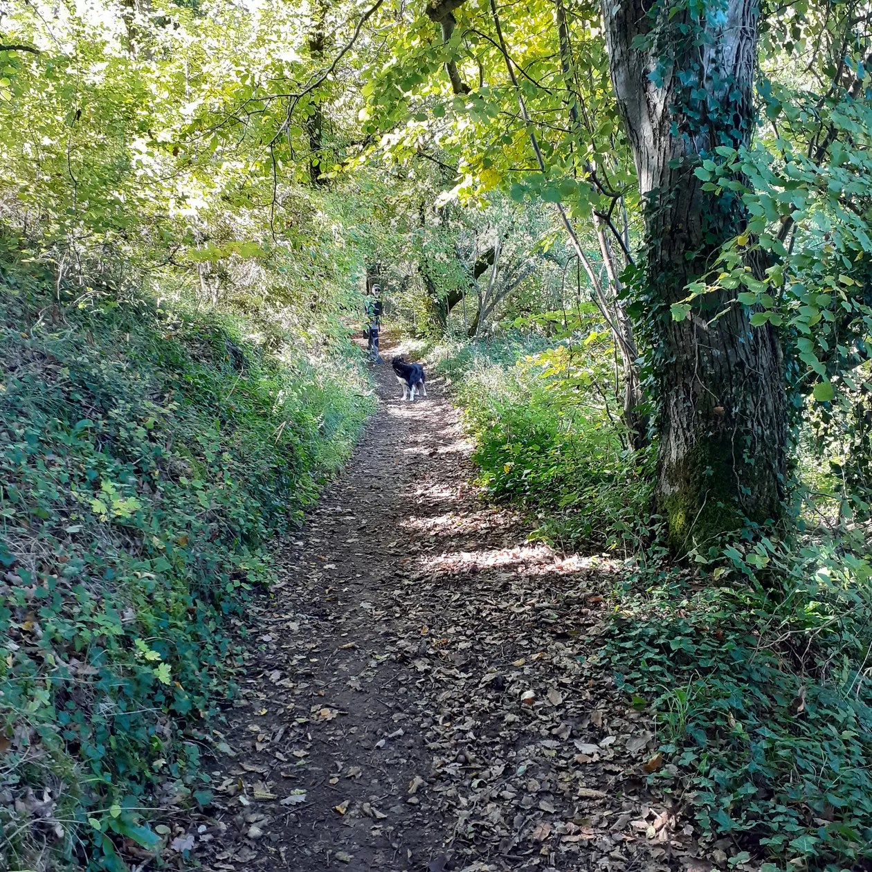 Gite du Manoir de Carlucet