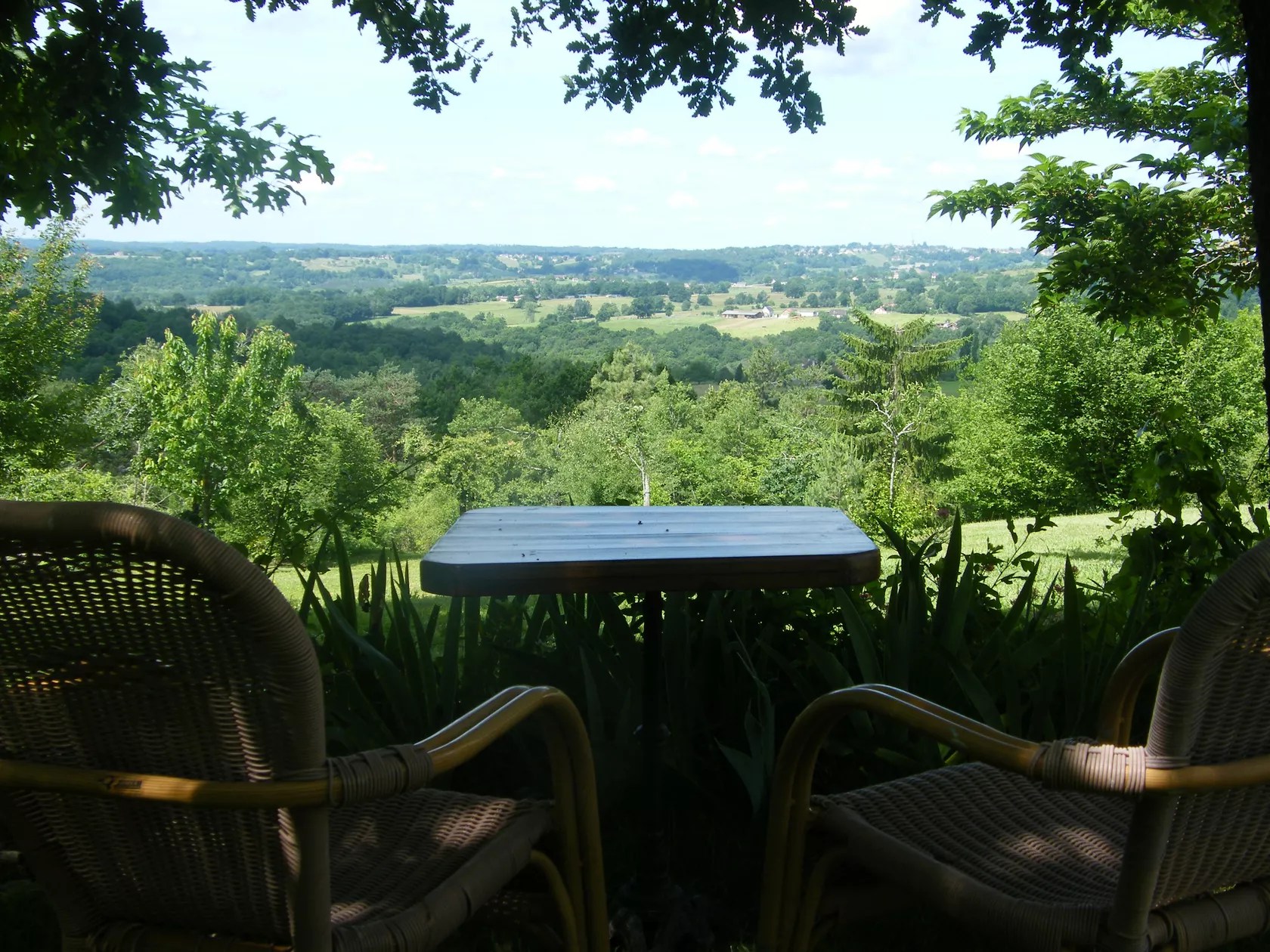 Domaine les Pins - La Figue