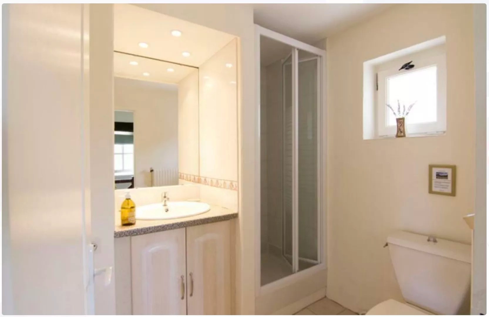 Les Crocus - La Tour