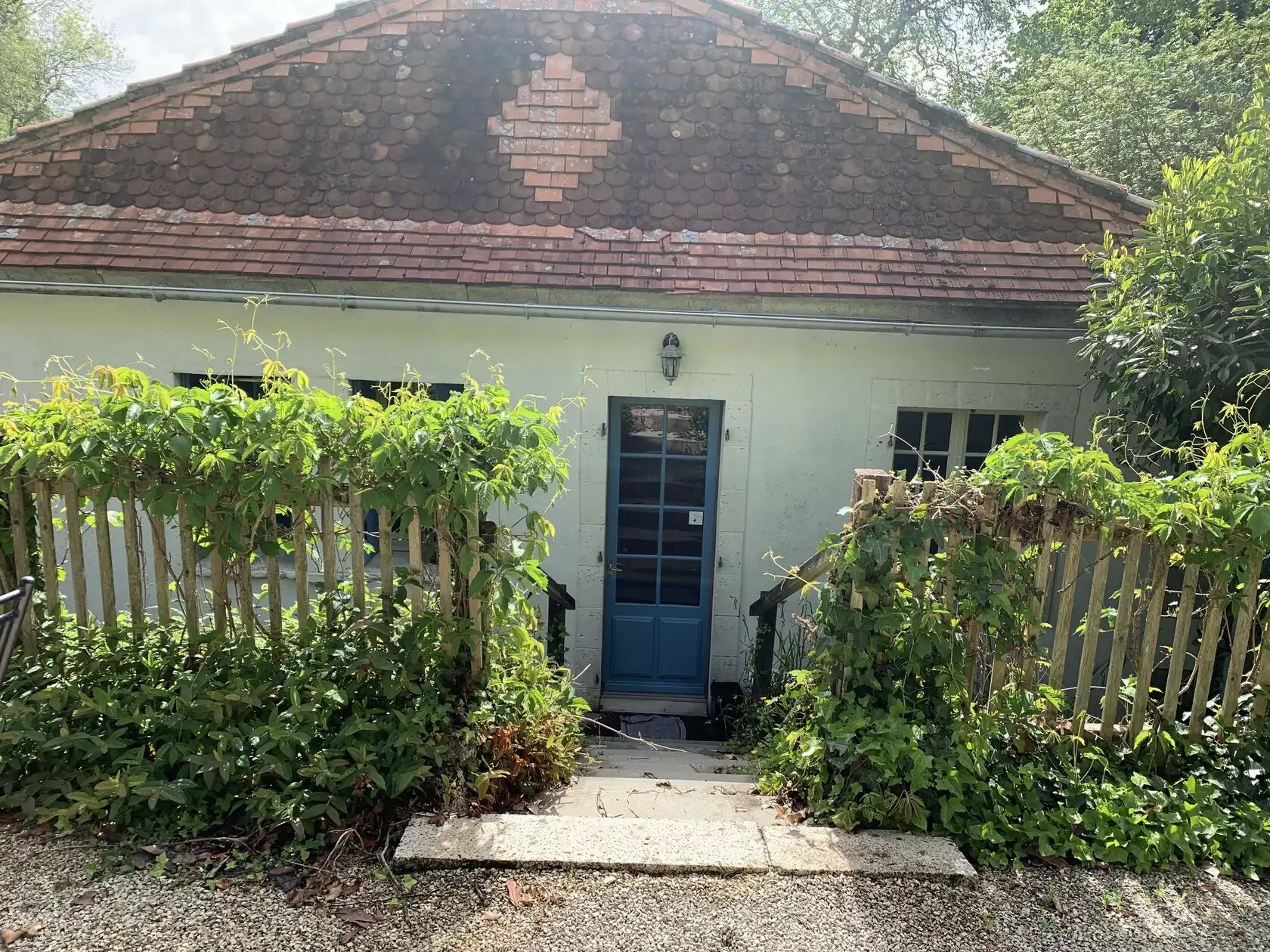 Les Mirandes - La Vigne