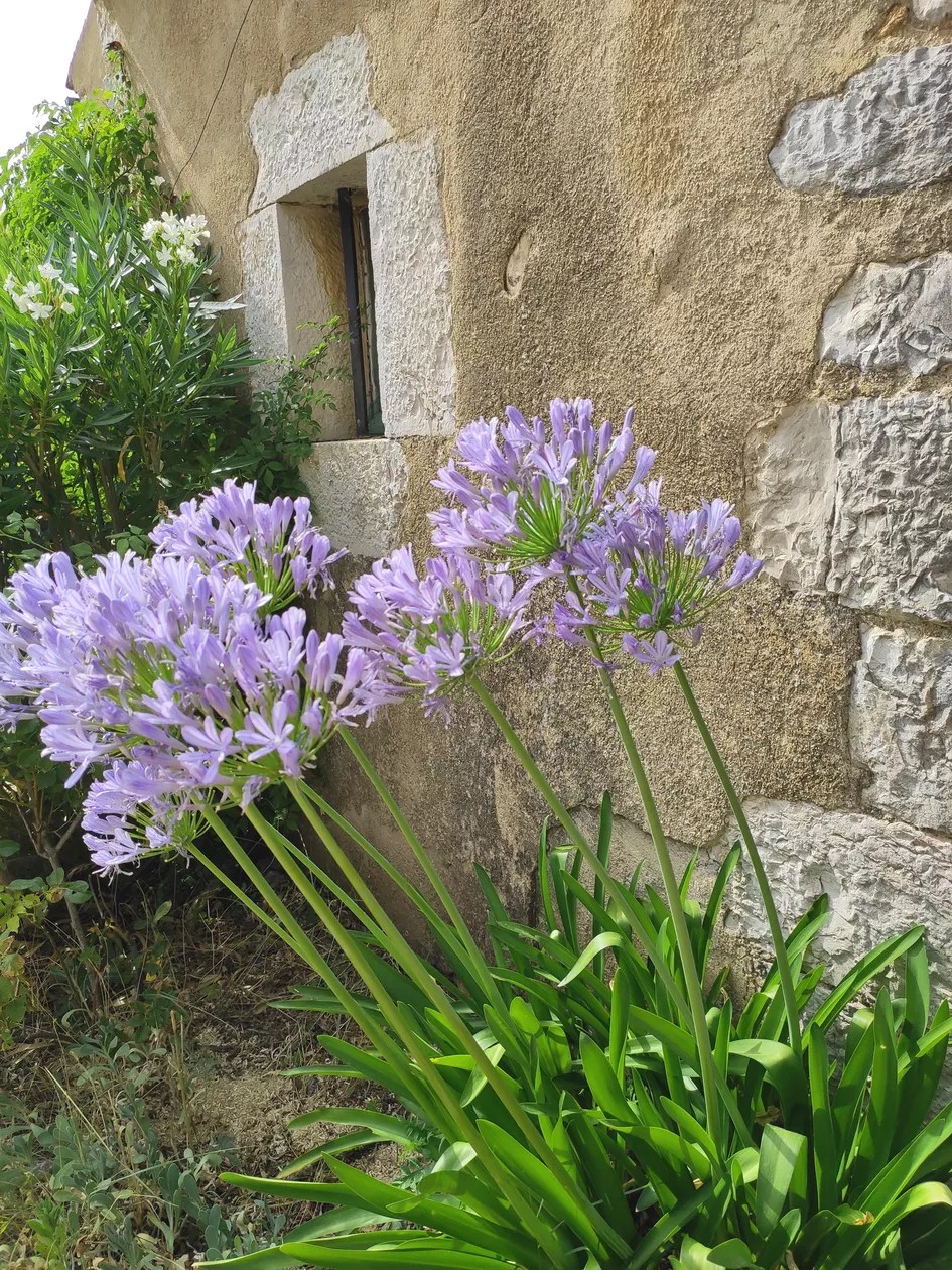 domaine de la Blaque