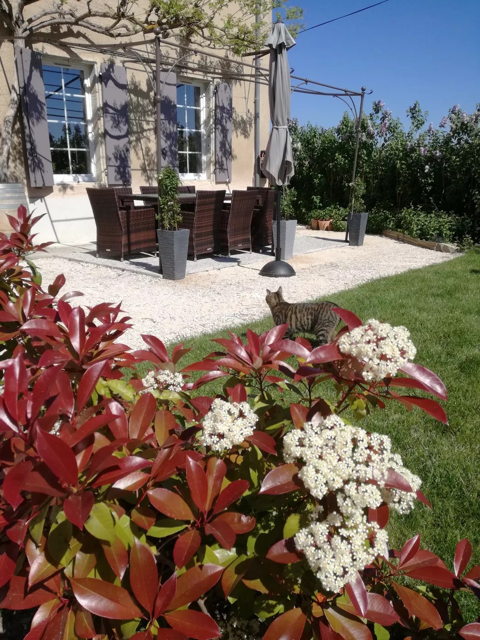 Cœur des Vignes - Charme & comfort in het Katharenland