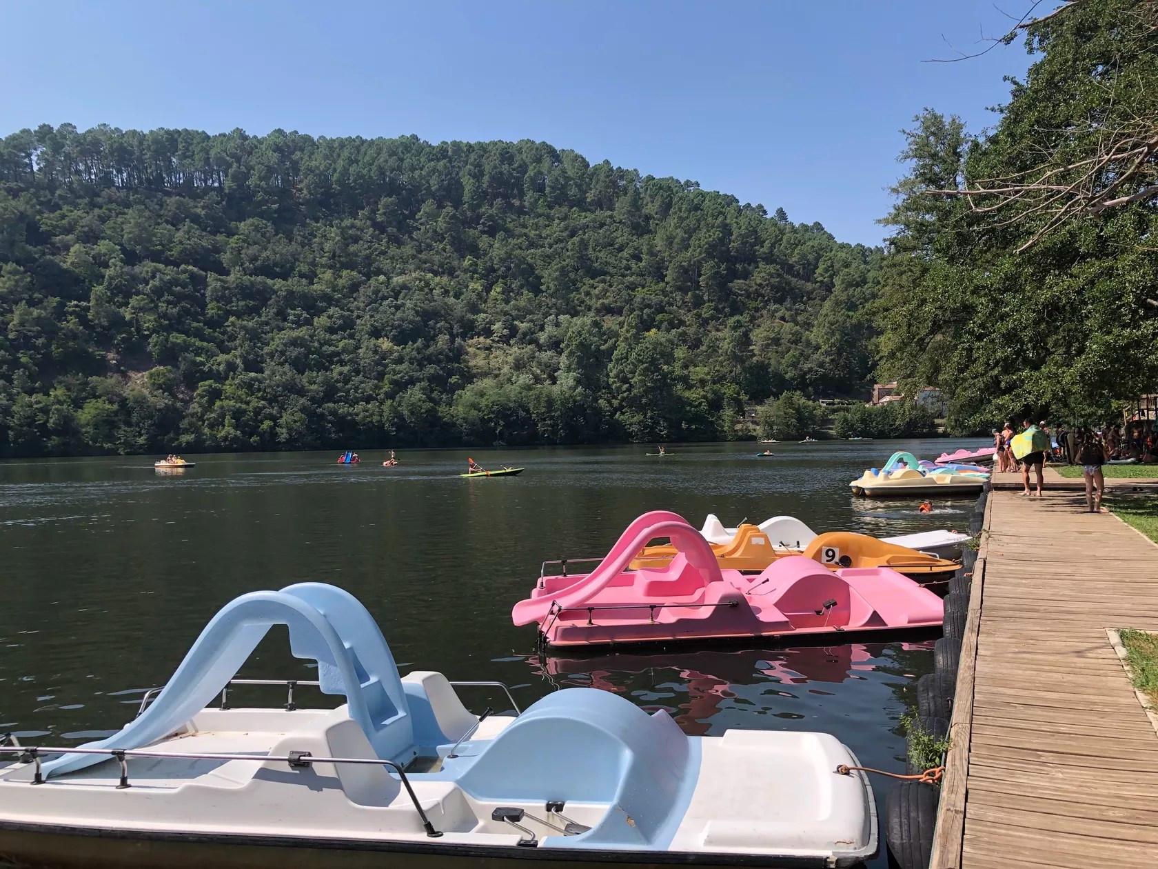 Chateau du Fraissinet - les Citronniers