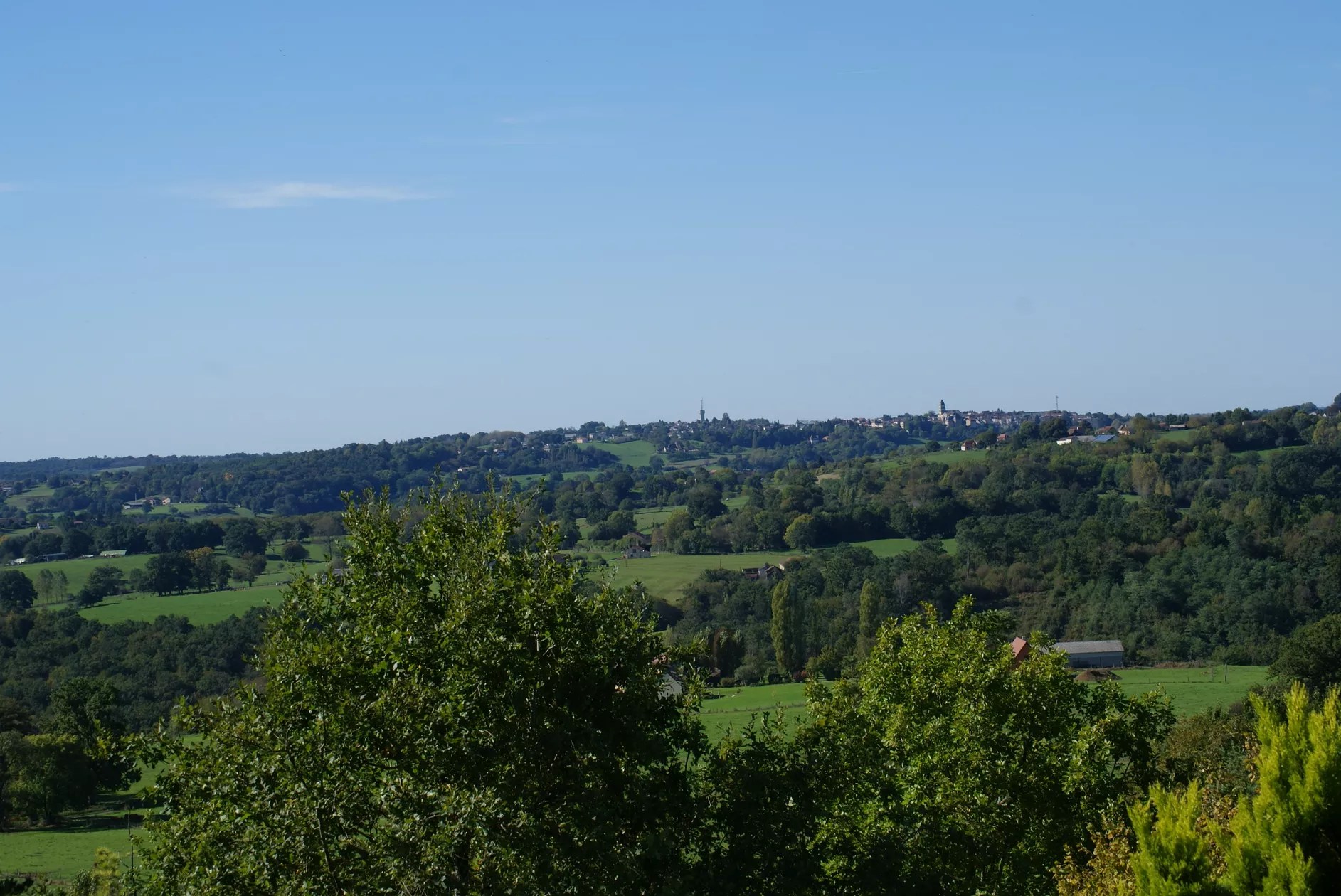 Domaine les Pins - l'Hêtre