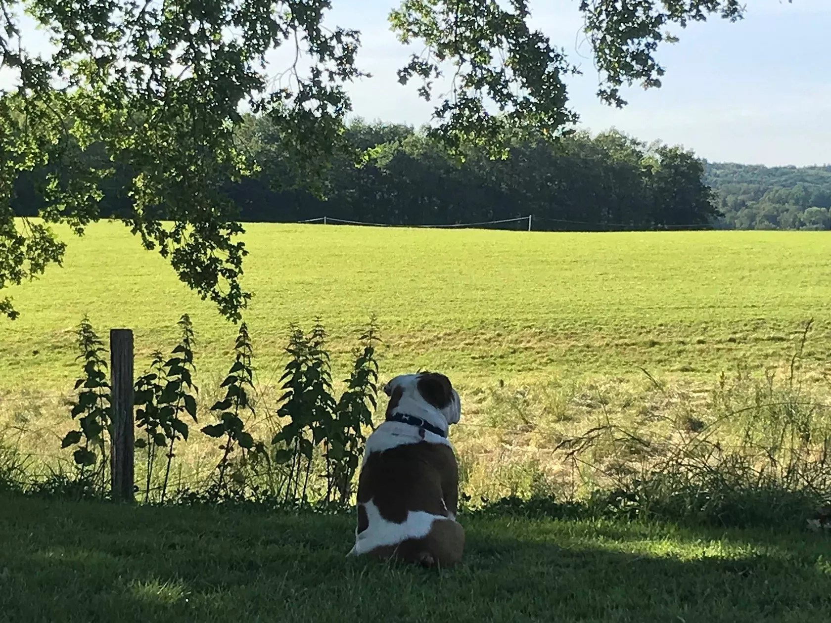 Les Carrieres - Fishing Holidays