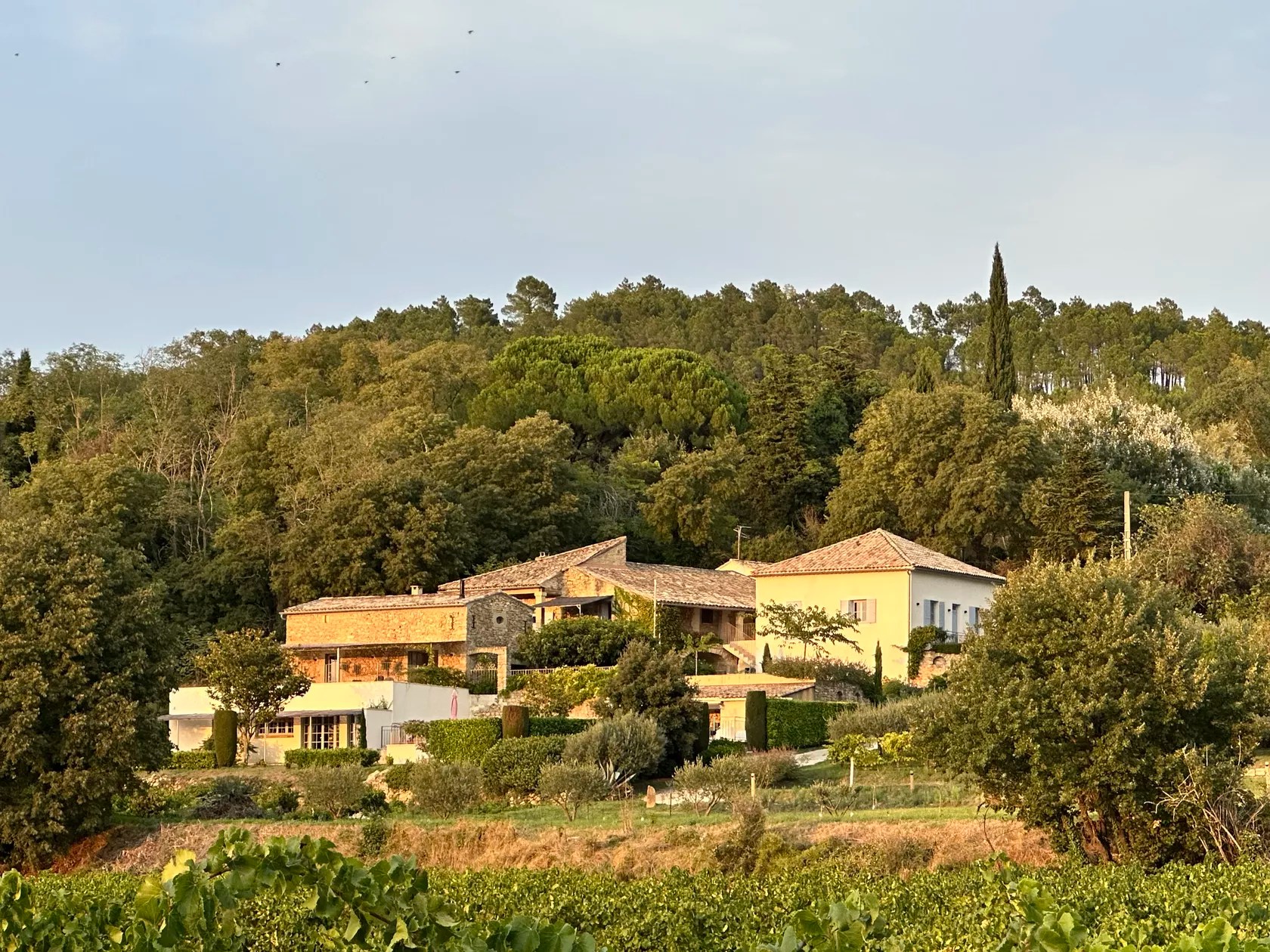 Domaine Cadignac - Joie de Vivre