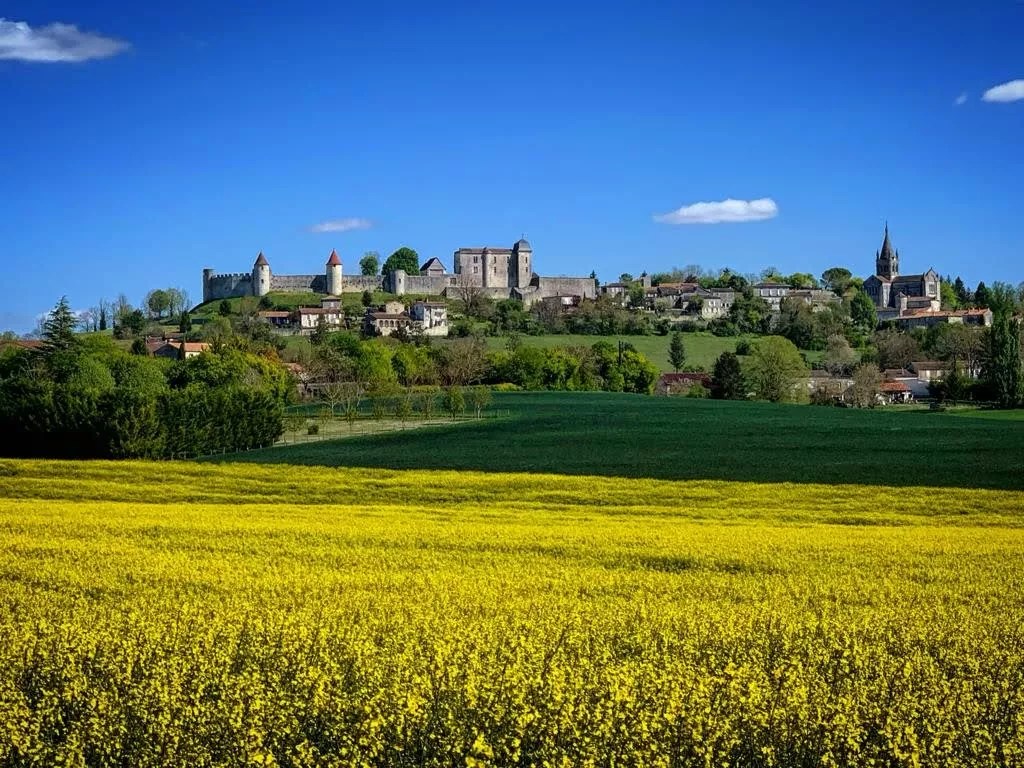 Les Mirandes - La Vigne