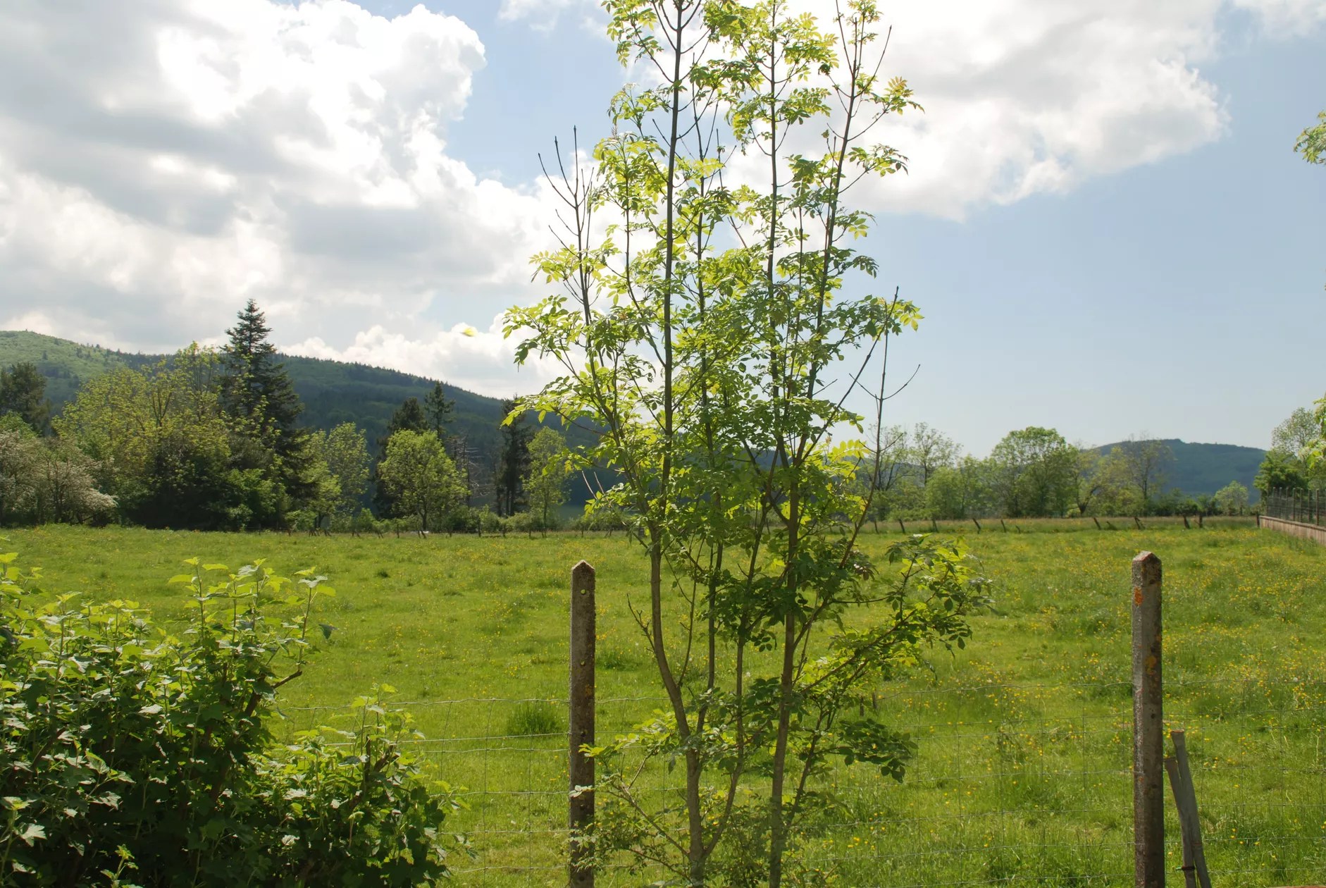 l'Ancienne Infirmerie