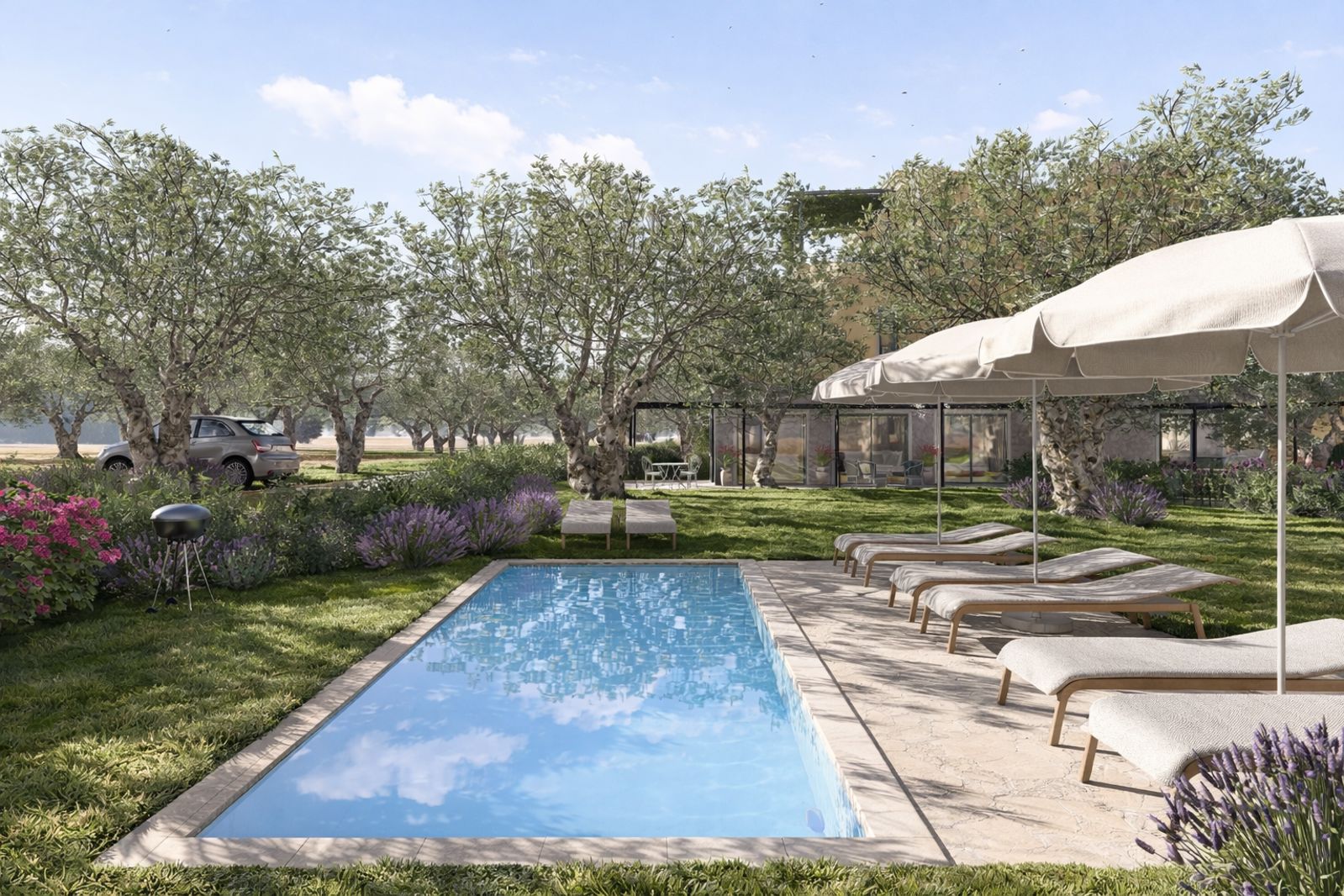 Petri Olive Houses Petri Olive Houses