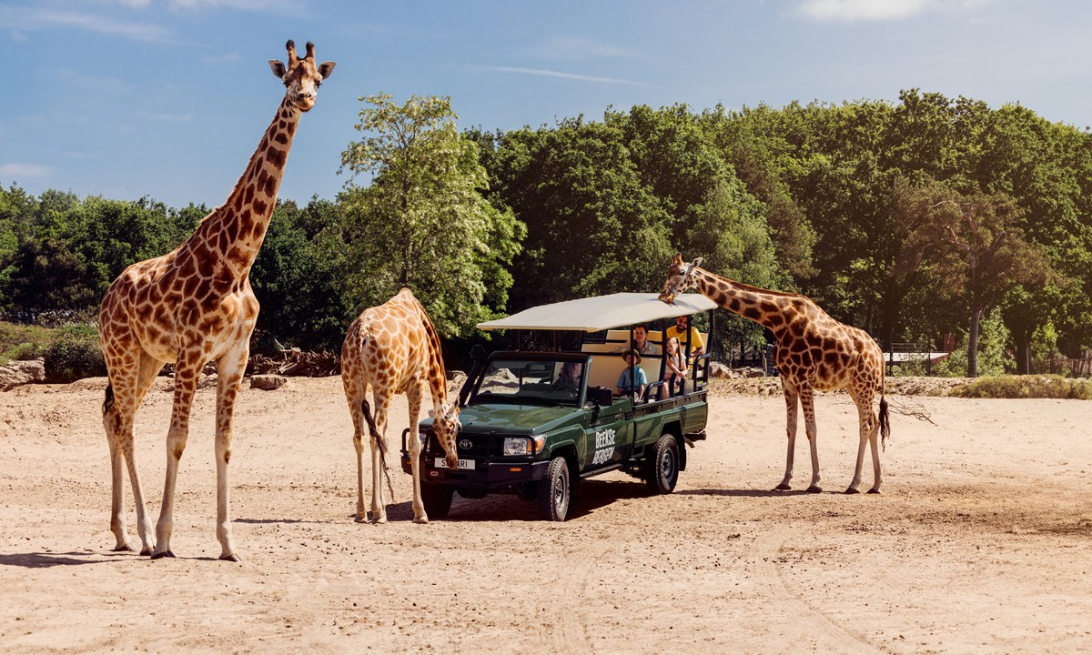 Lake Resort Beekse Bergen