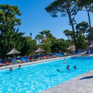 Le Dauphin Le Dauphin