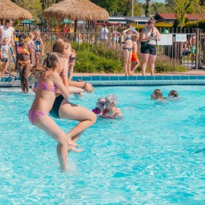 Recreatiepark de Boshoek Recreatiepark de Boshoek