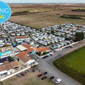 Paradis Les Jonquilles Paradis Les Jonquilles