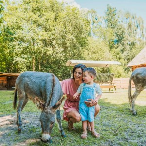 Vakantiepark Dierenbos Vakantiepark Dierenbos