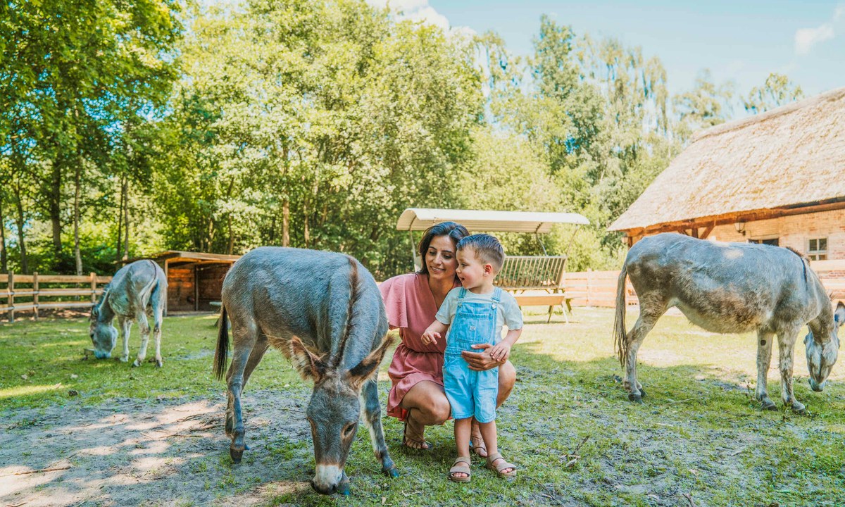 Vakantiepark Dierenbos