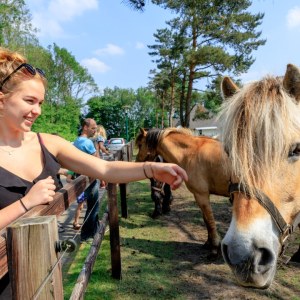 Camping de Reeënwissel Camping de Reeënwissel