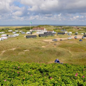 Dancamps Holmsland Dancamps Holmsland