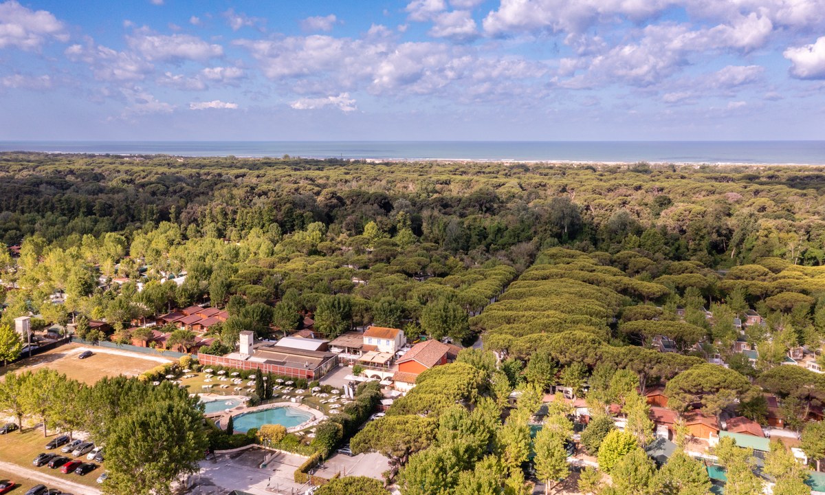 Club del Sole Viareggio Family Collection