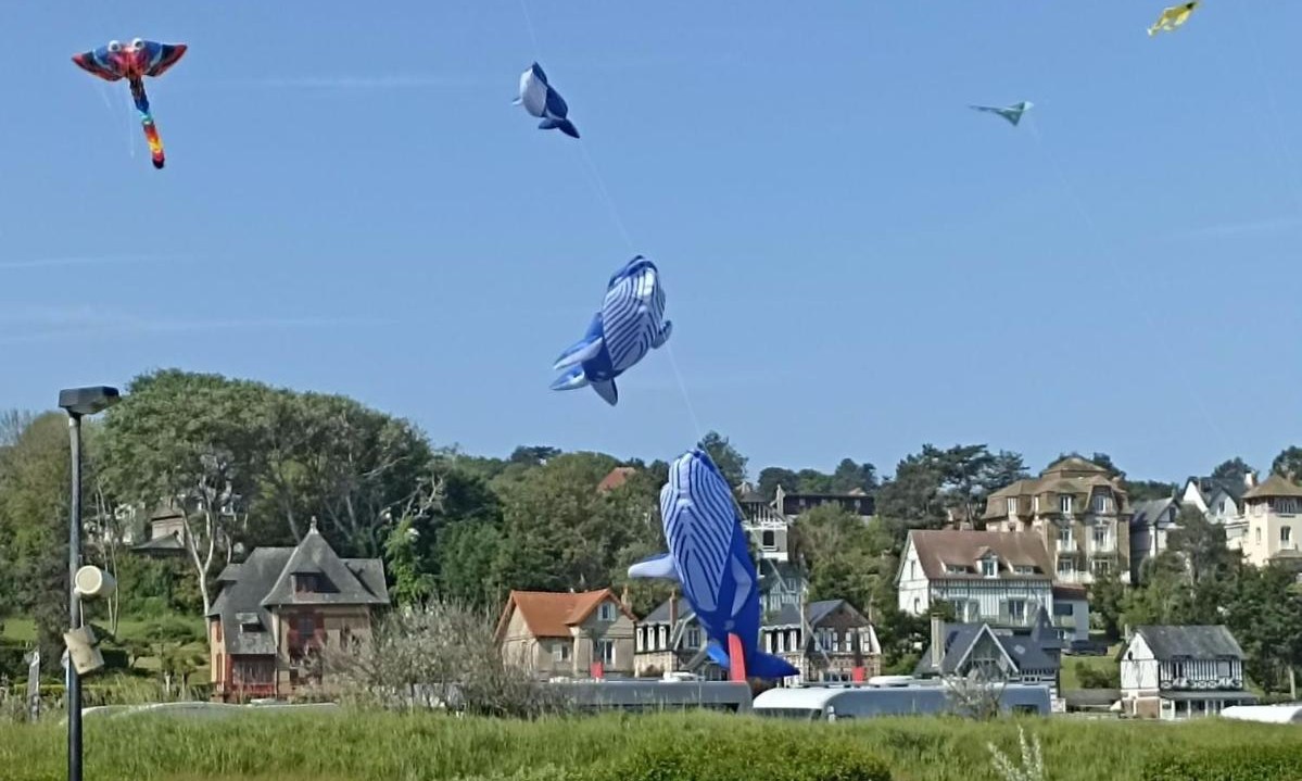 Camping Seasonova Le Domaine Saâne et Mer