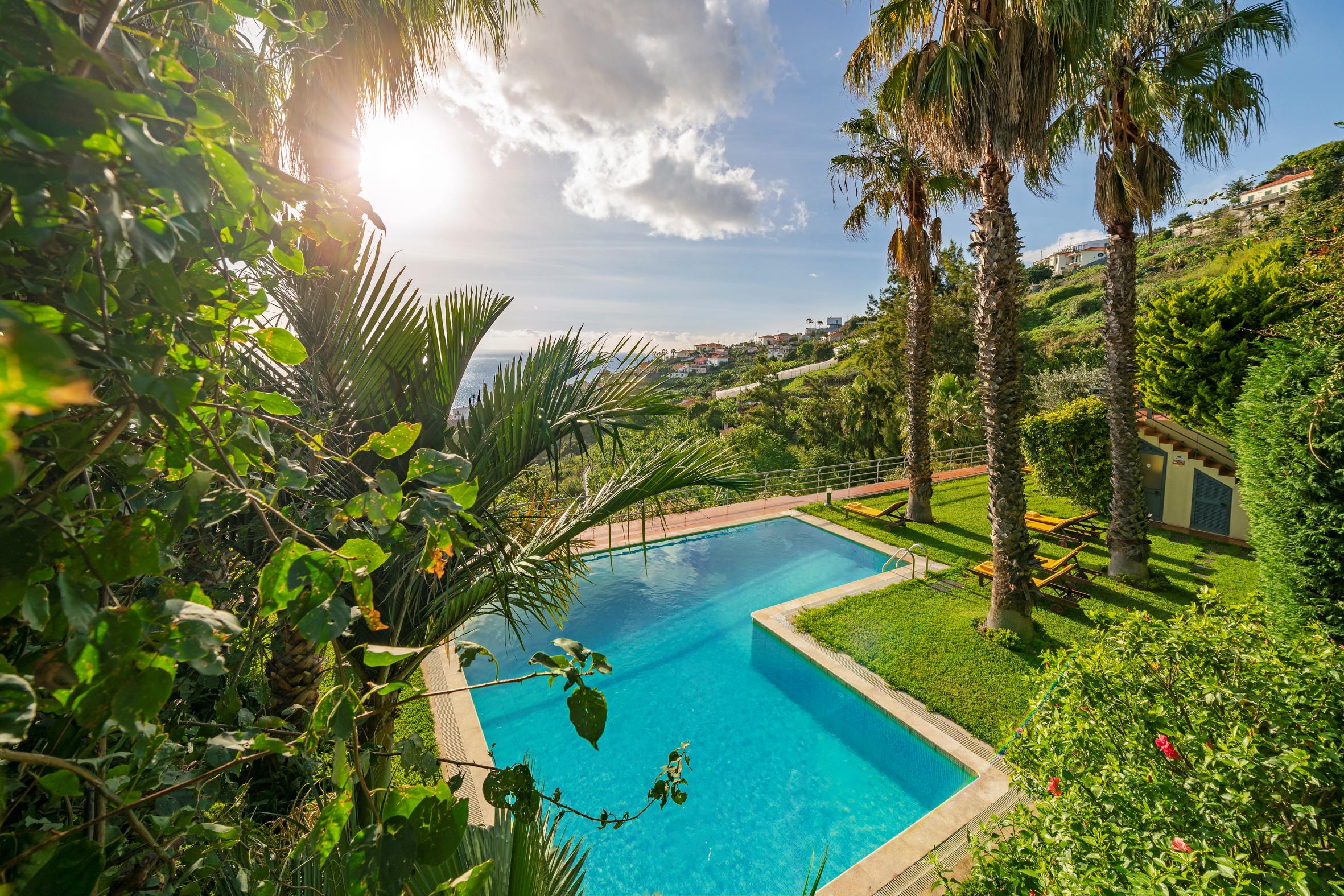 Casa do Papagaio Verde