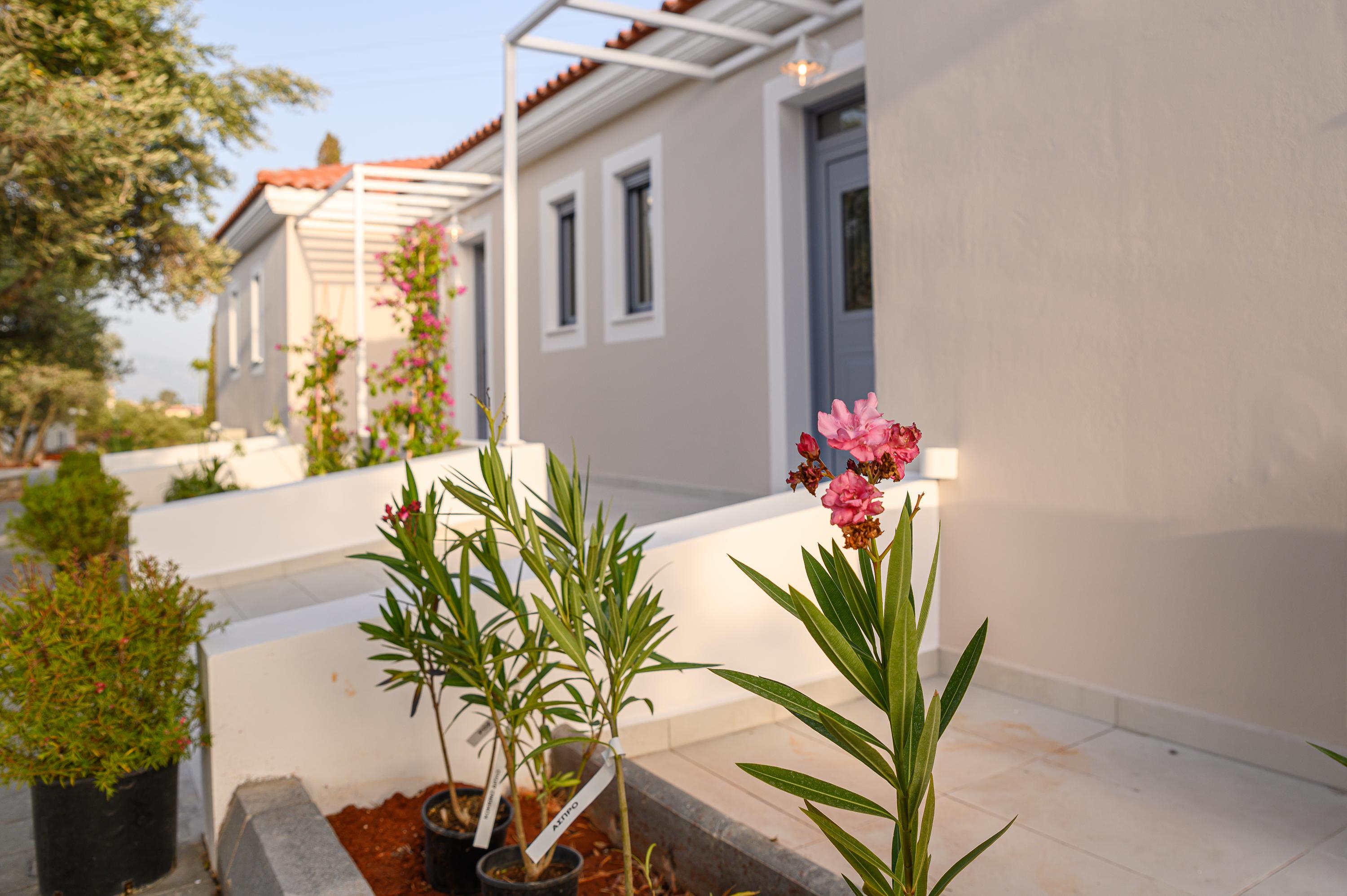 Dionysos Suites