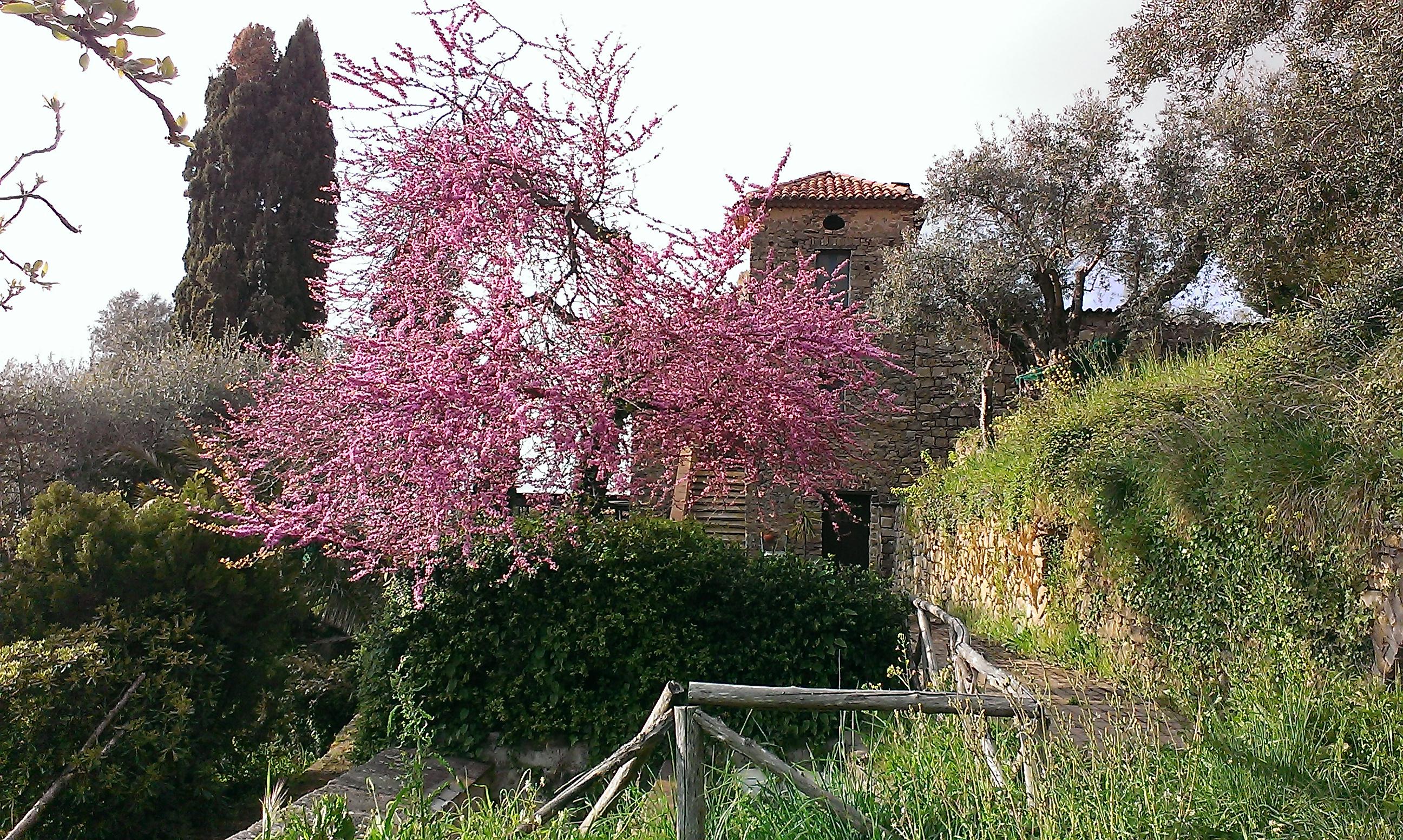 Agriturismo Il Vecchio Casale