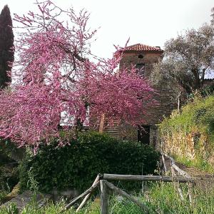 Agriturismo Il Vecchio Casale Agriturismo Il Vecchio Casale