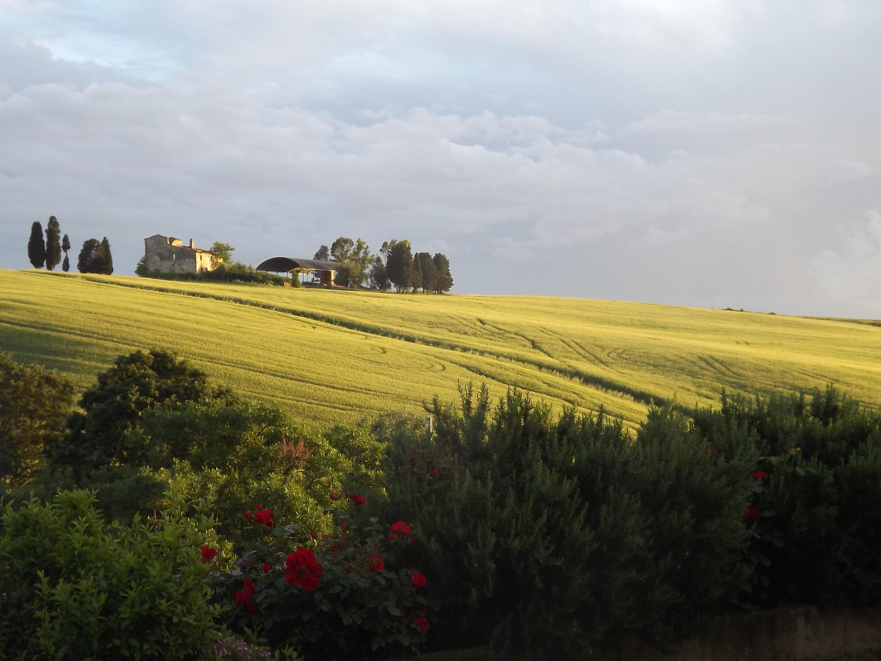 Agriturismo Podere Il Fornacino