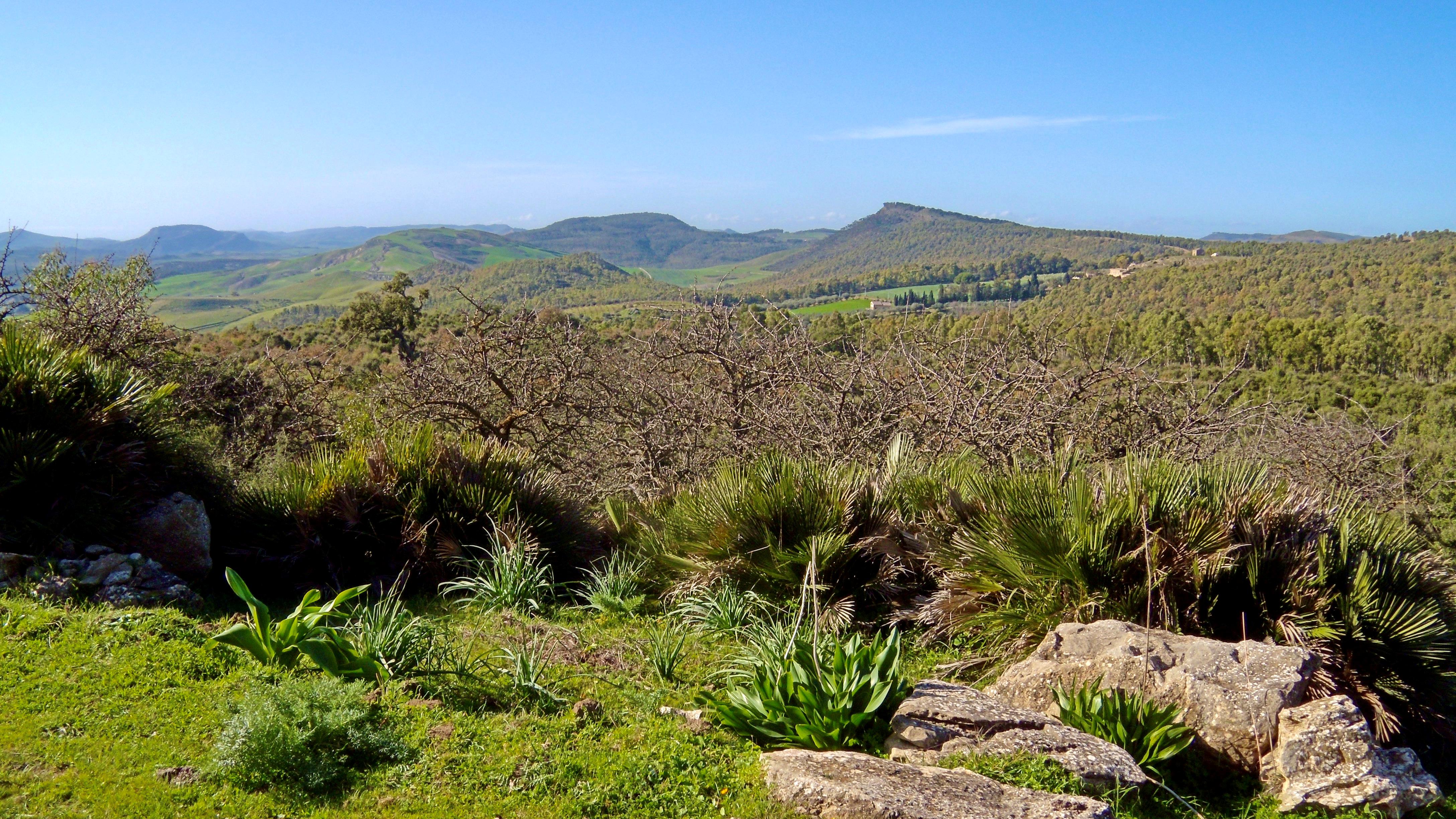 Azienda Vecchia Masseria