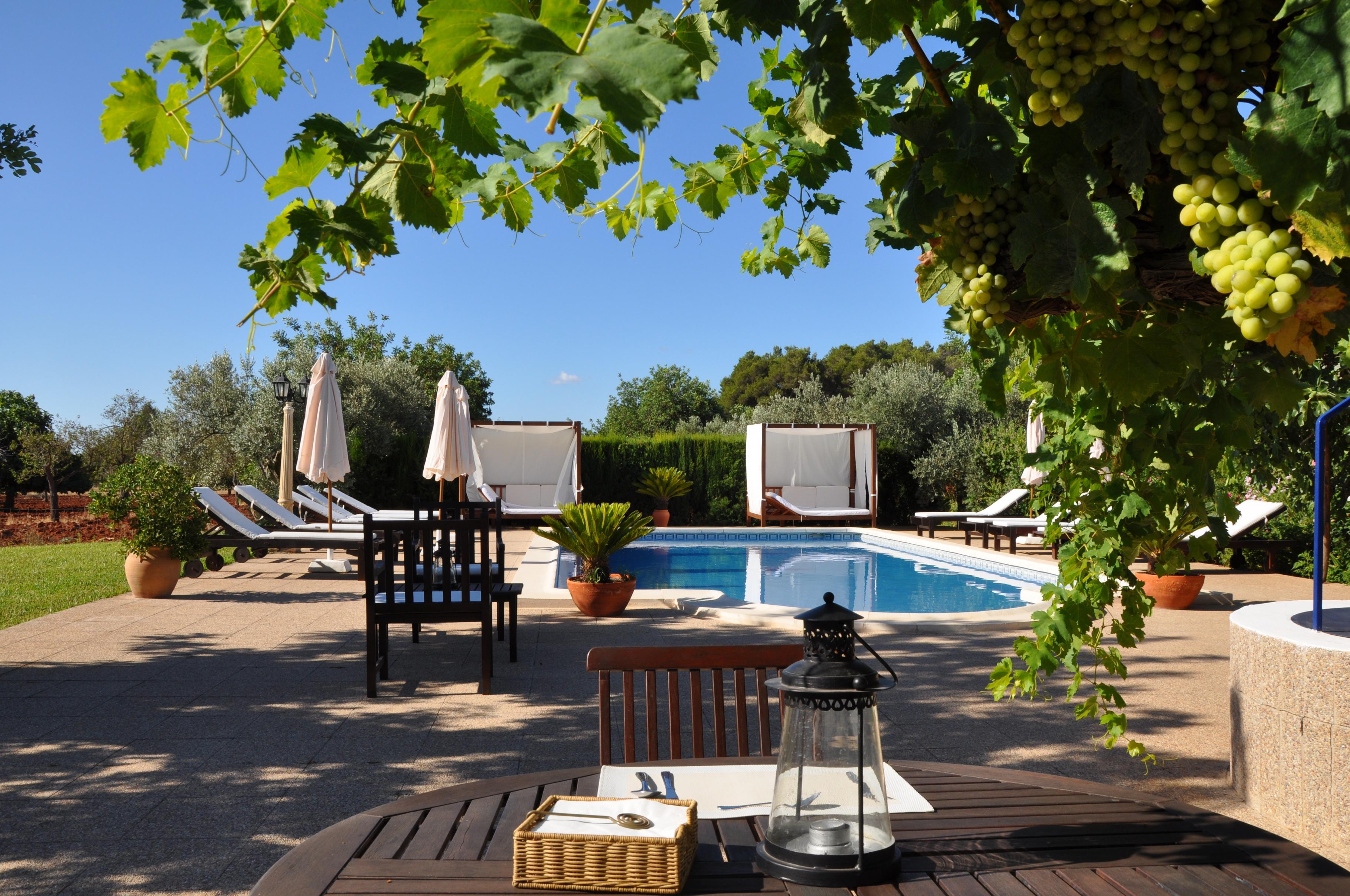 Sa Vinya d'en Palerm