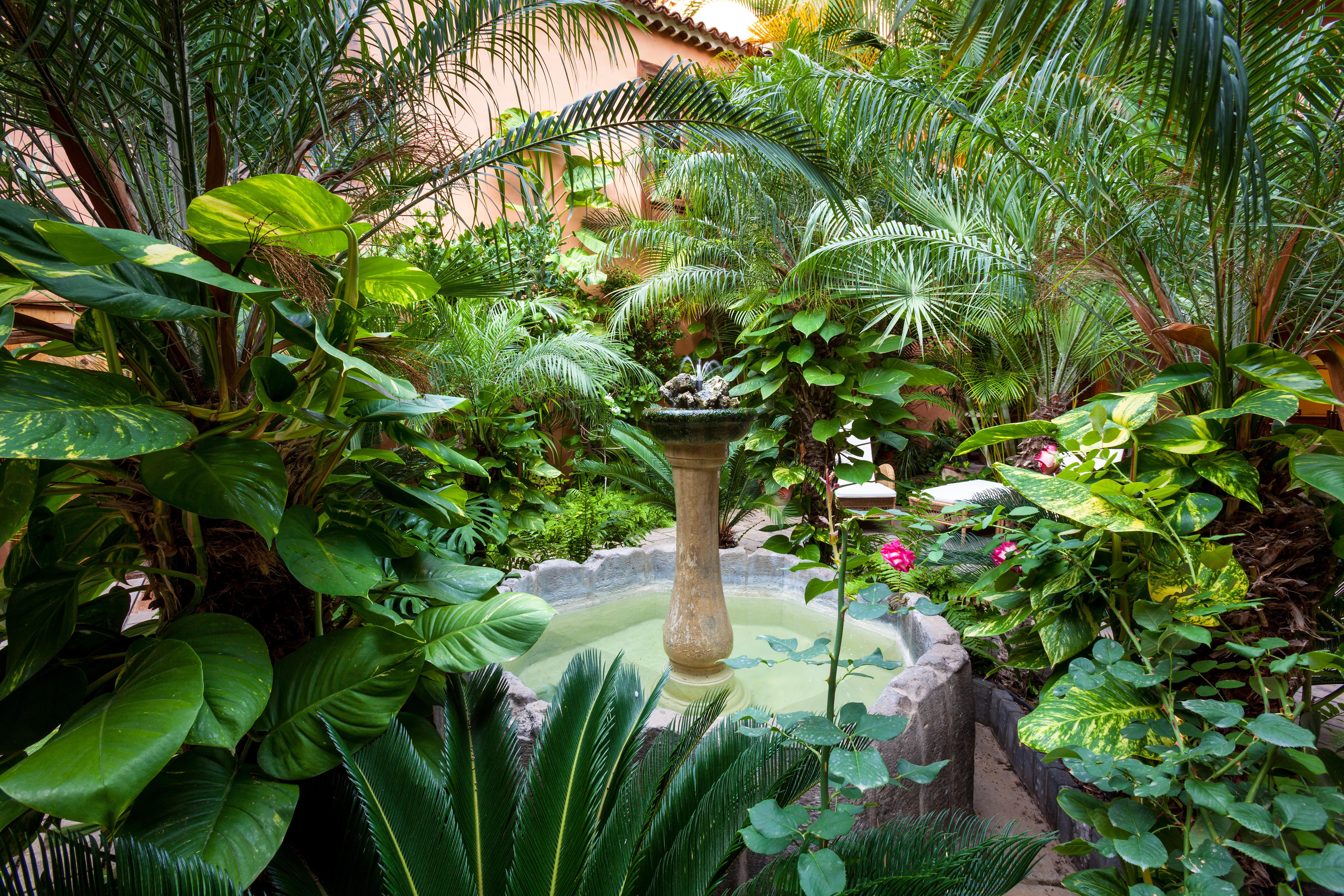 Hotel Livvo La Quinta Roja