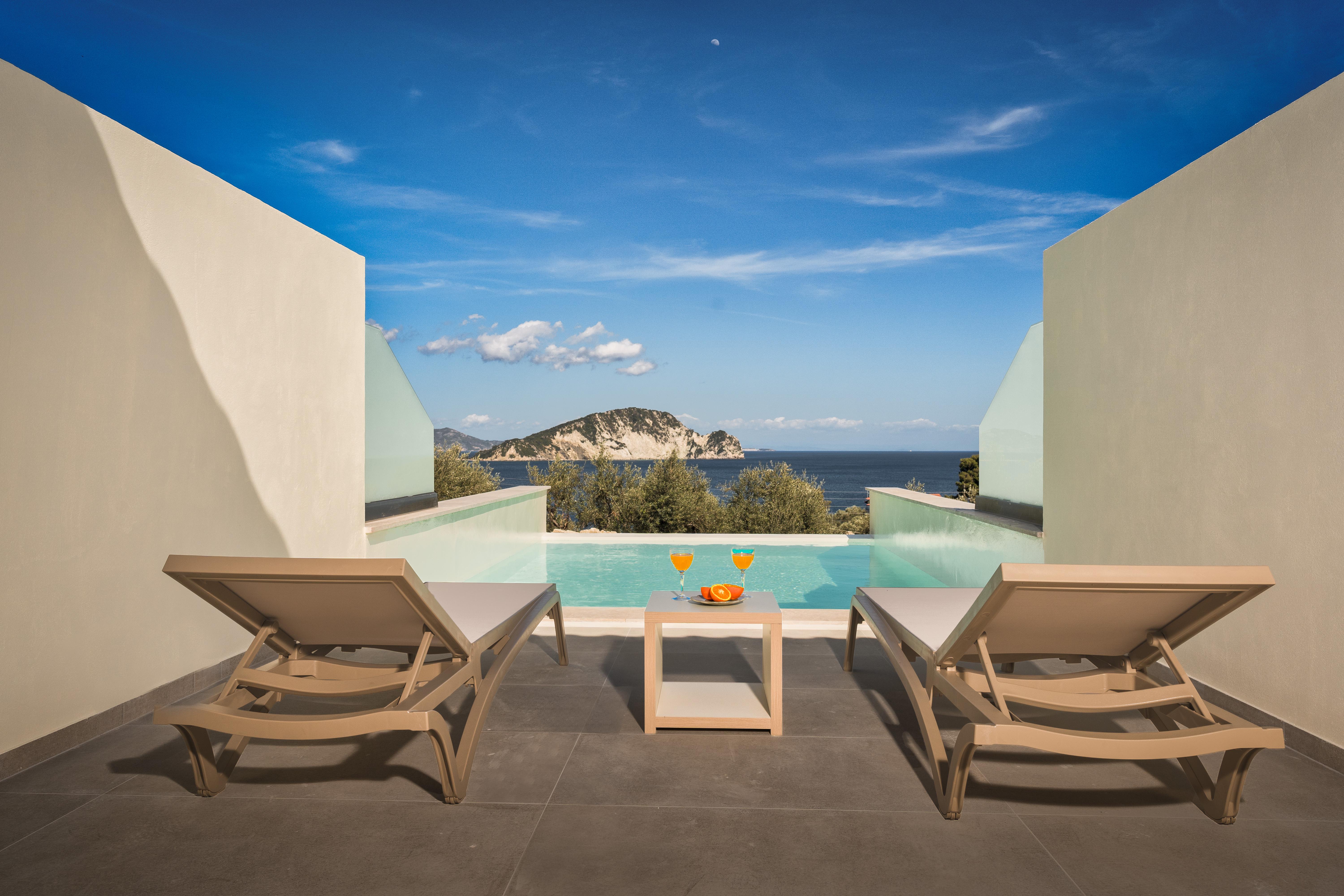 Lente Vivus Lente Vivus