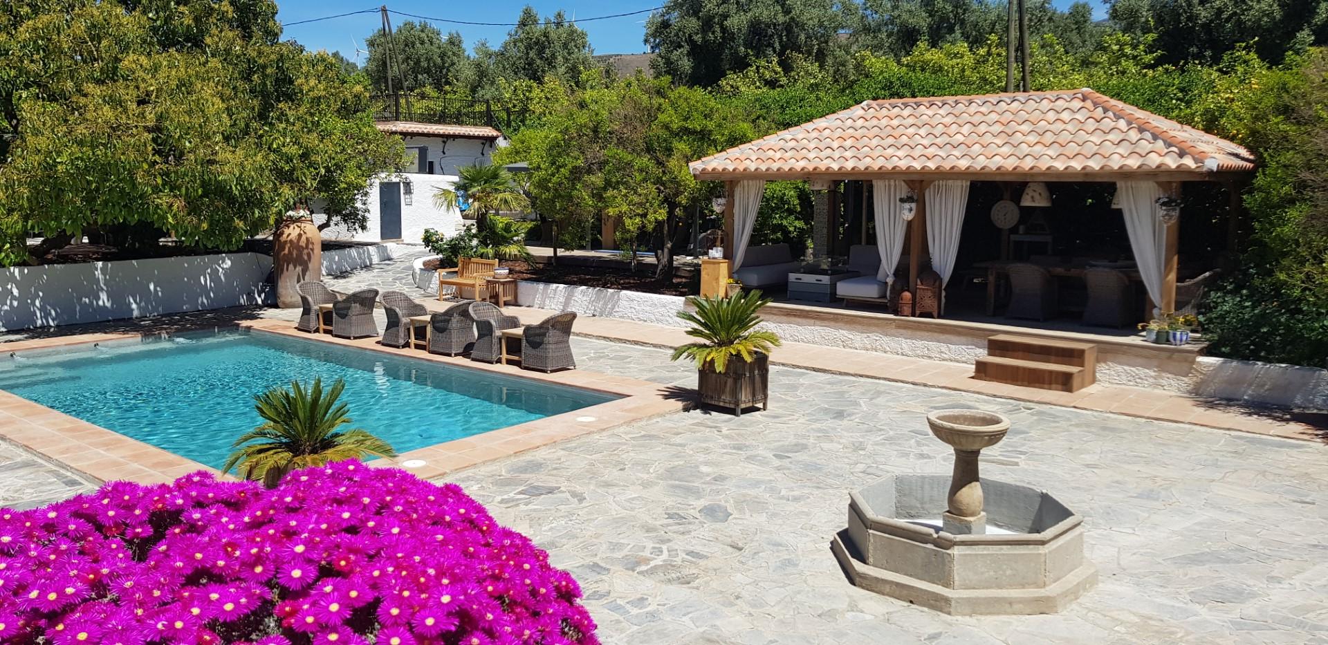 El Violin Experiencia