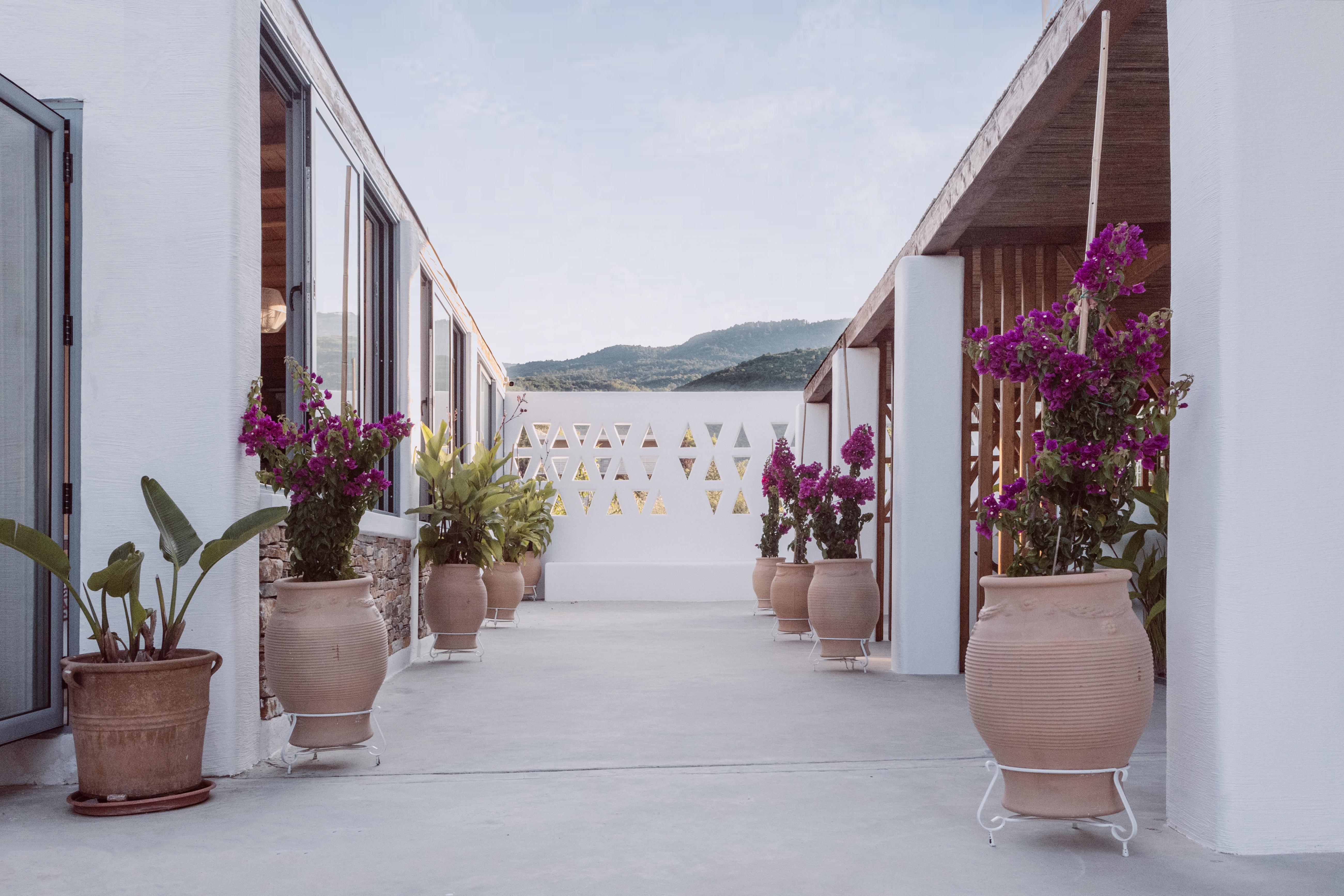 Agorastos Luxury Living