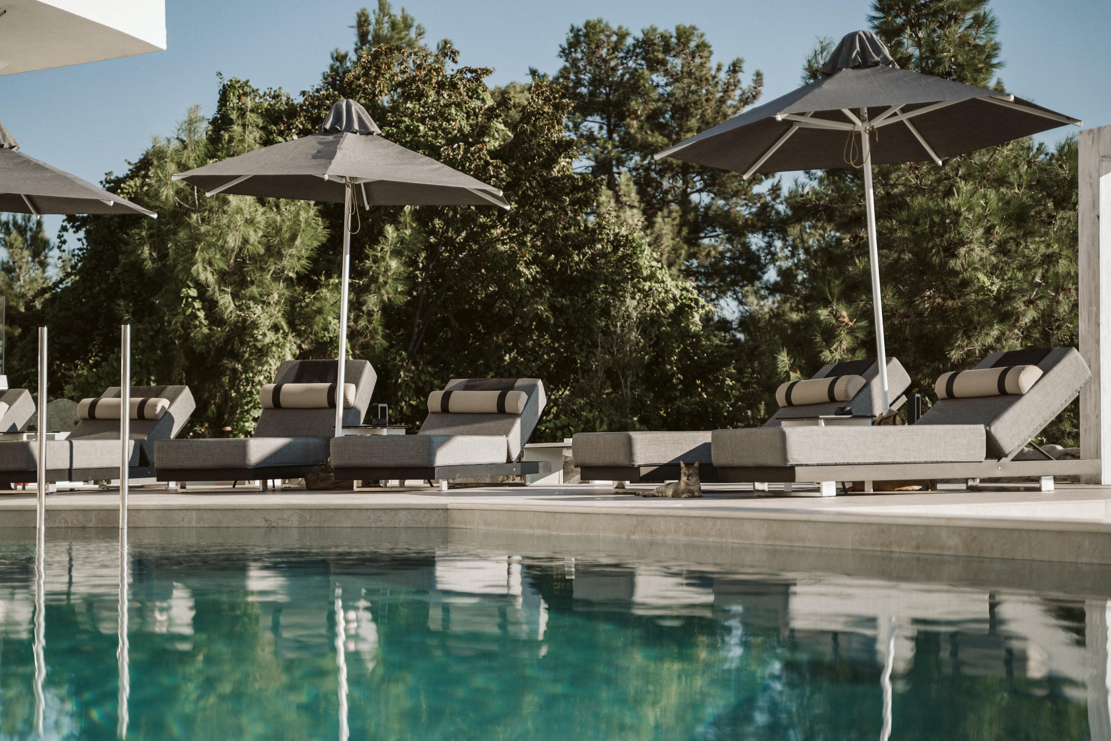 Akrotiri Olympus Luxury Suites