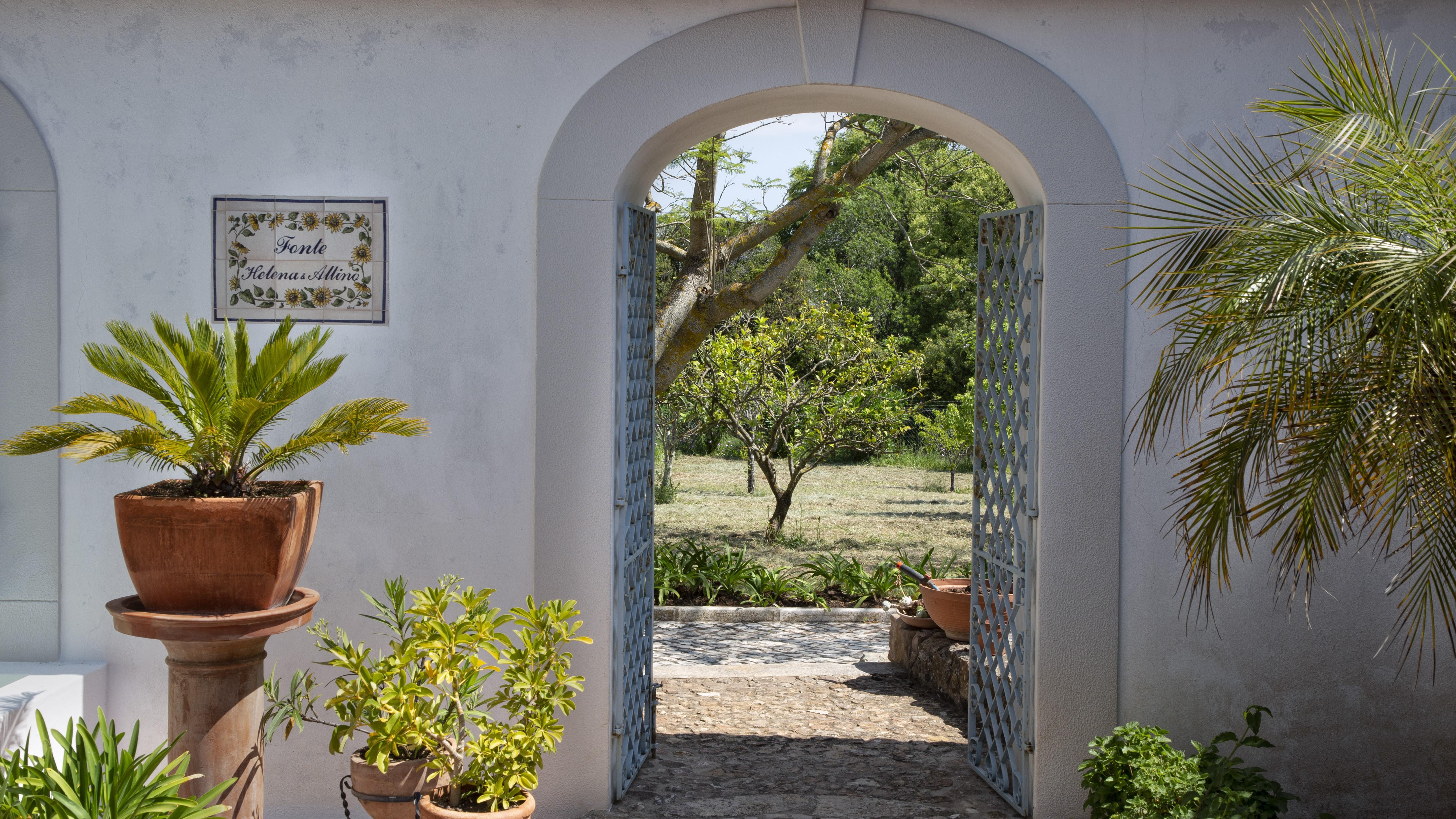 Olival de Sao Filipe