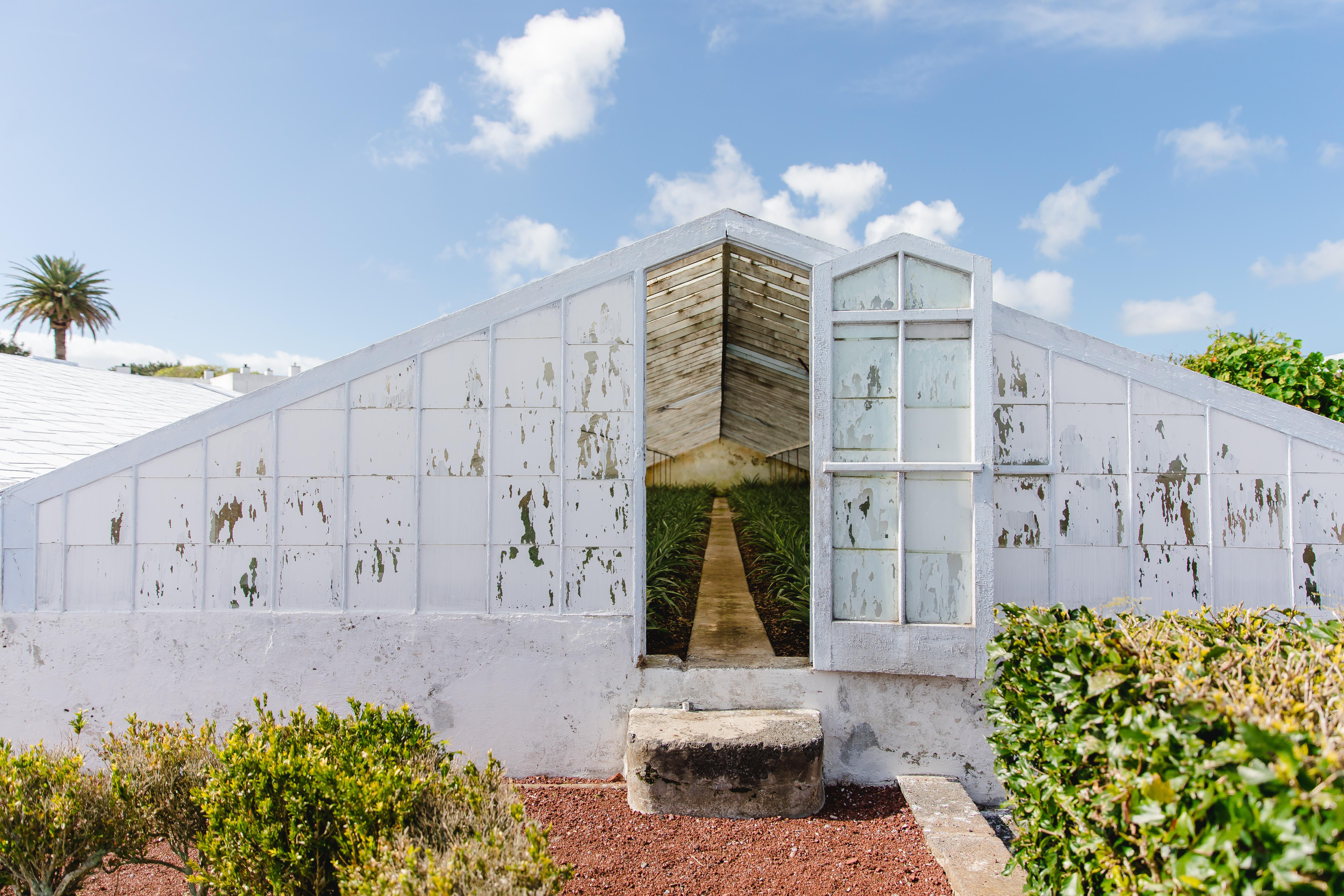 Hotel Herdade do Ananas