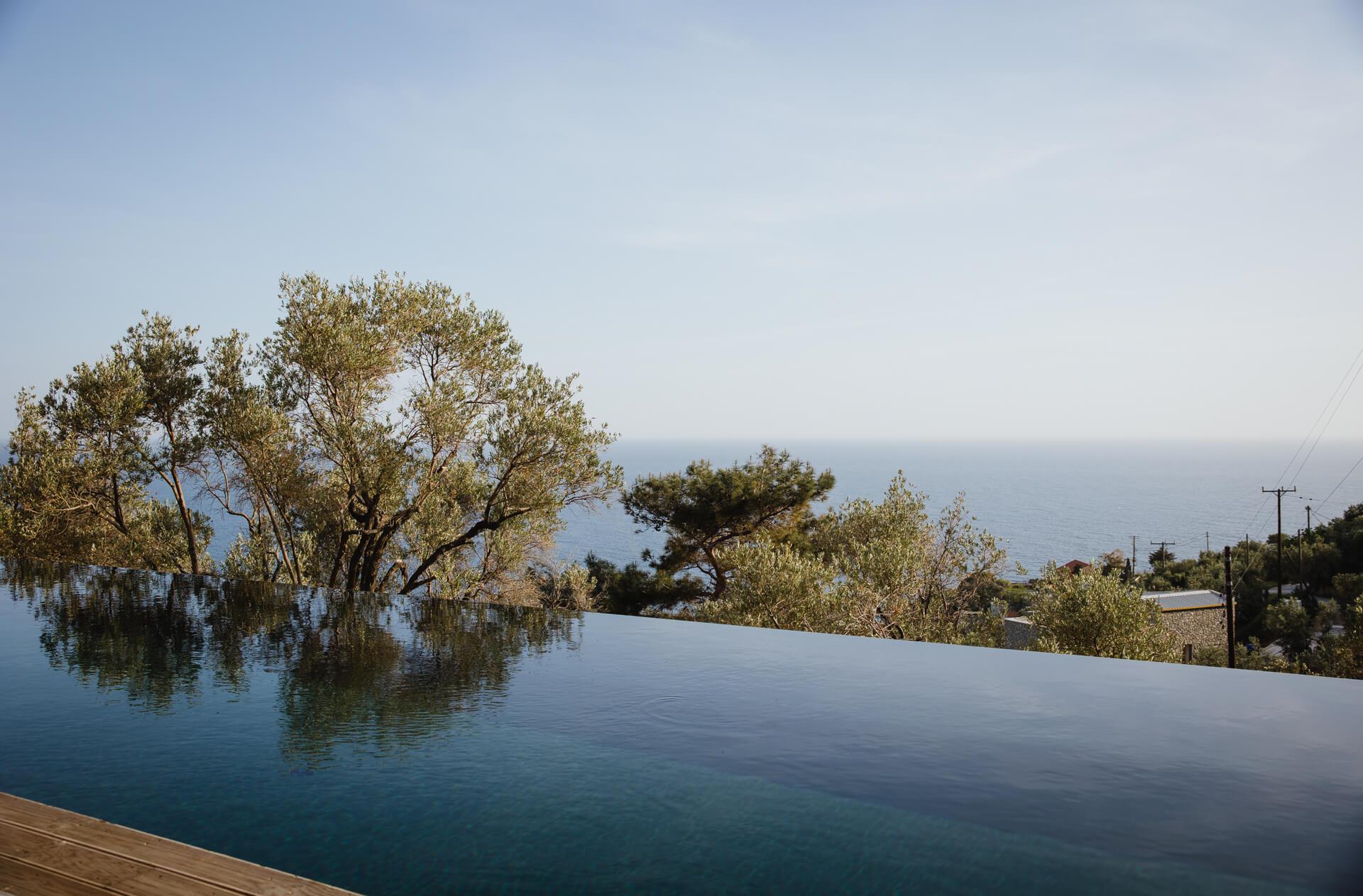 Five Olive Dream Trip