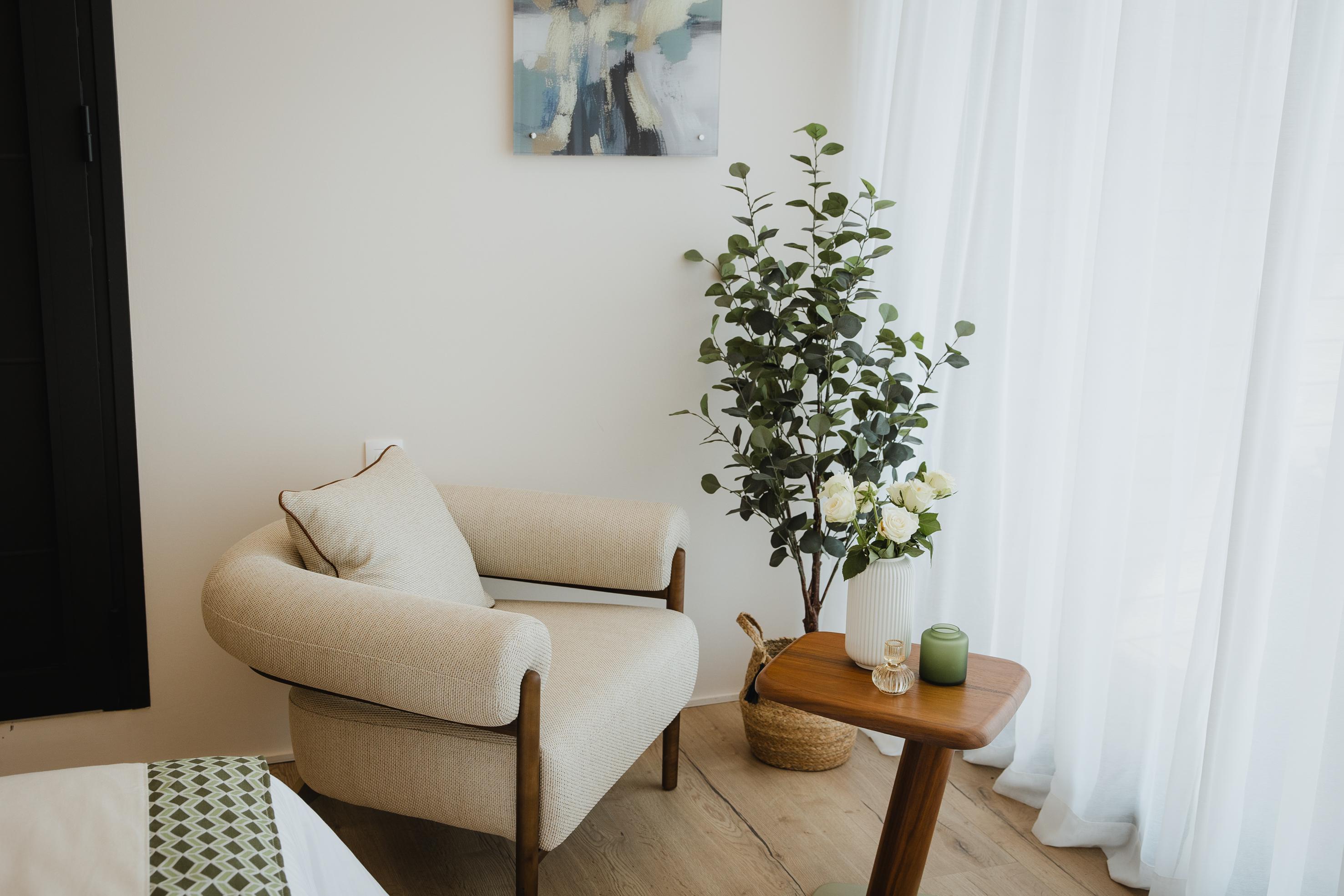 Five Olive Dream Trip