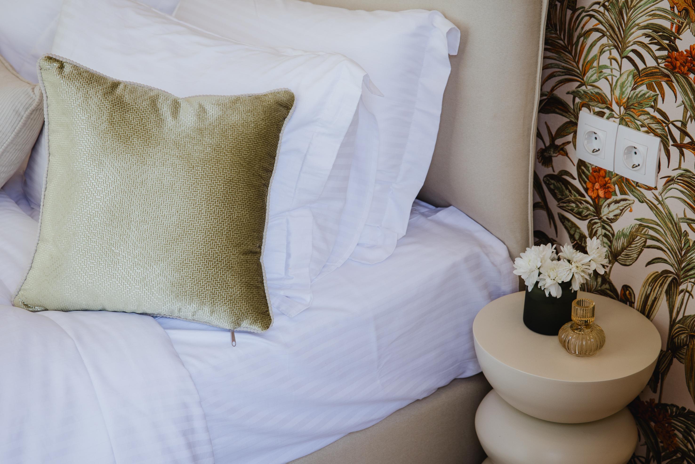 Five Olive Dream Trip