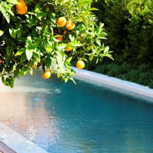 Villa Conte Marino Villa Conte Marino