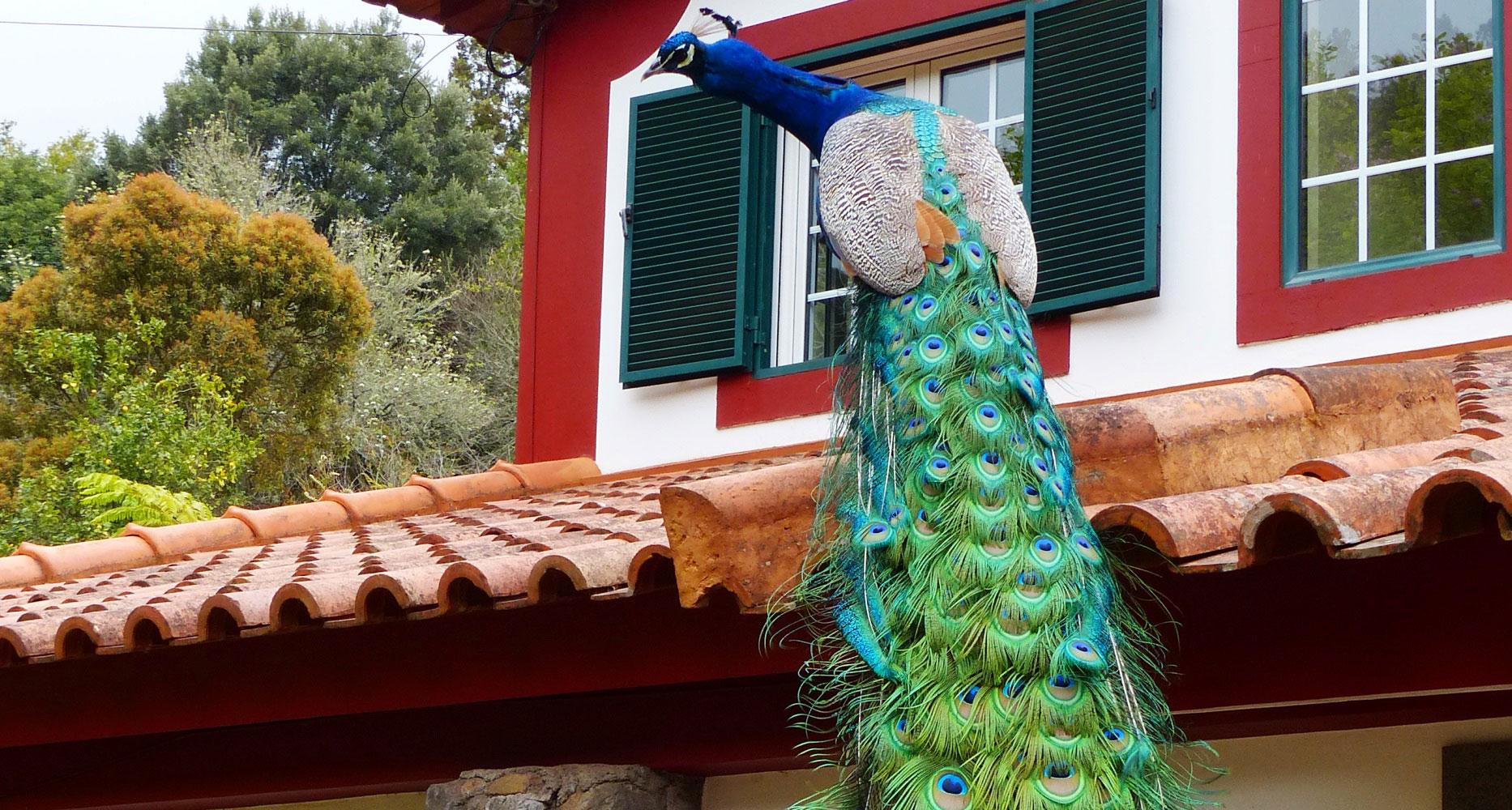 Bungalows Casas Valleparaizo