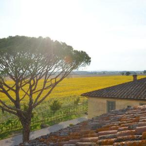 Le Terre dei Cavalieri Hotel Le Terre dei Cavalieri Hotel