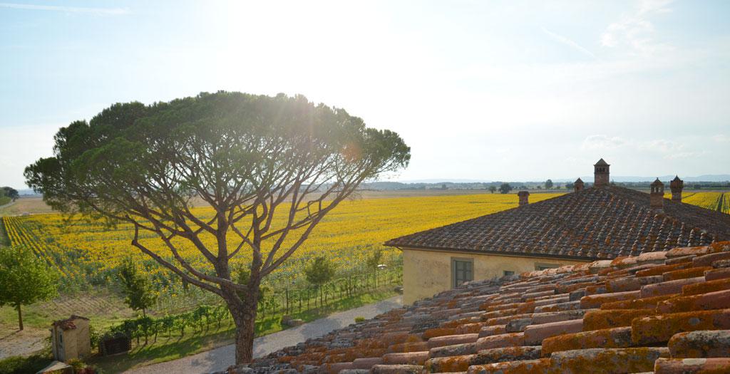 Le Terre dei Cavalieri Hotel