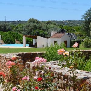 Quinta da Mesquita Quinta da Mesquita