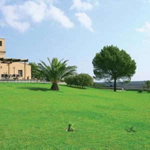 Masseria Panareo Masseria Panareo