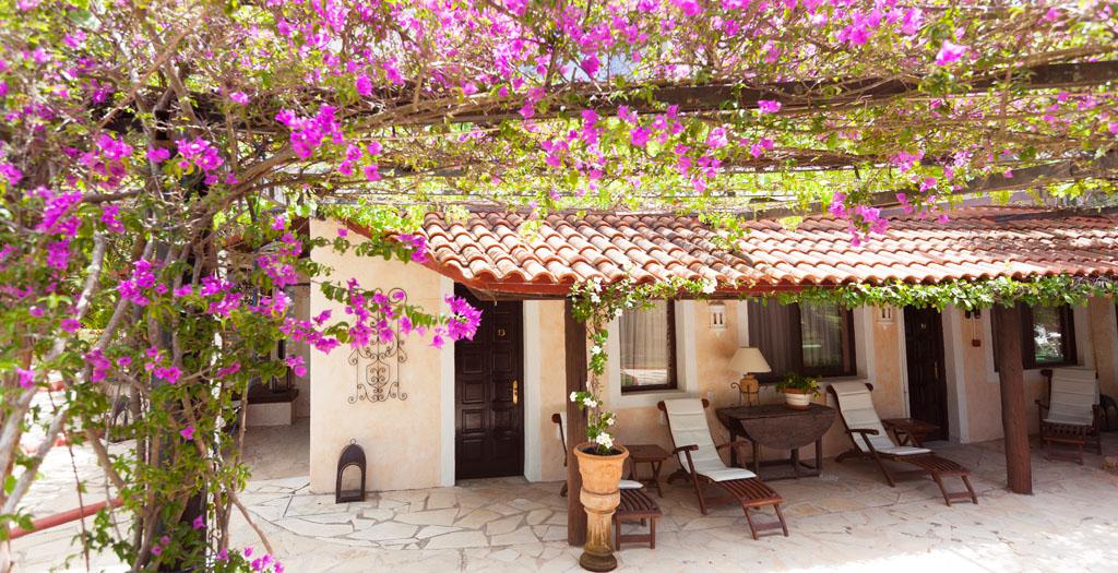 Hotel Rural C'as Pla